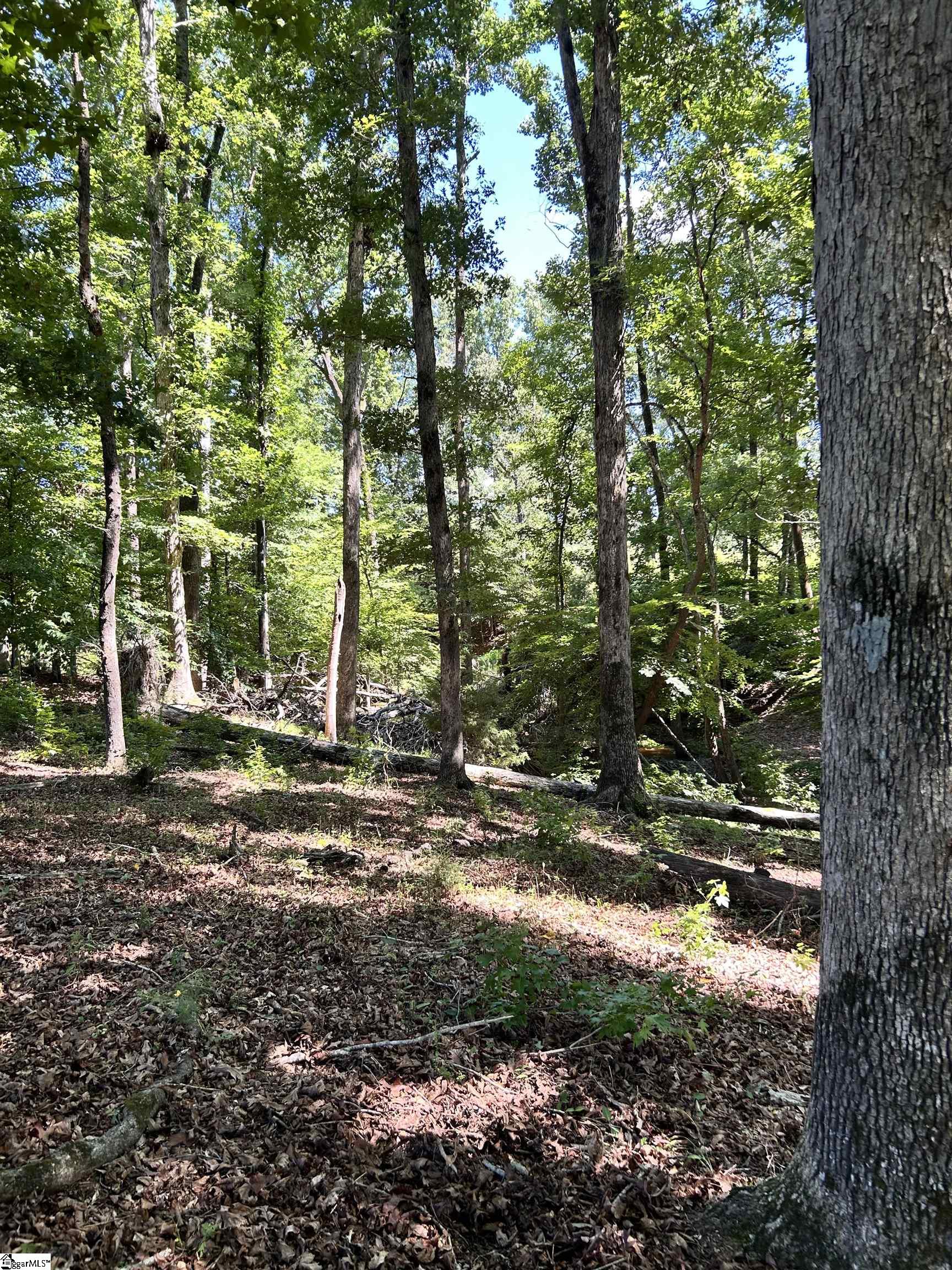 09 Sc - 413 Highway Property Photo 7
