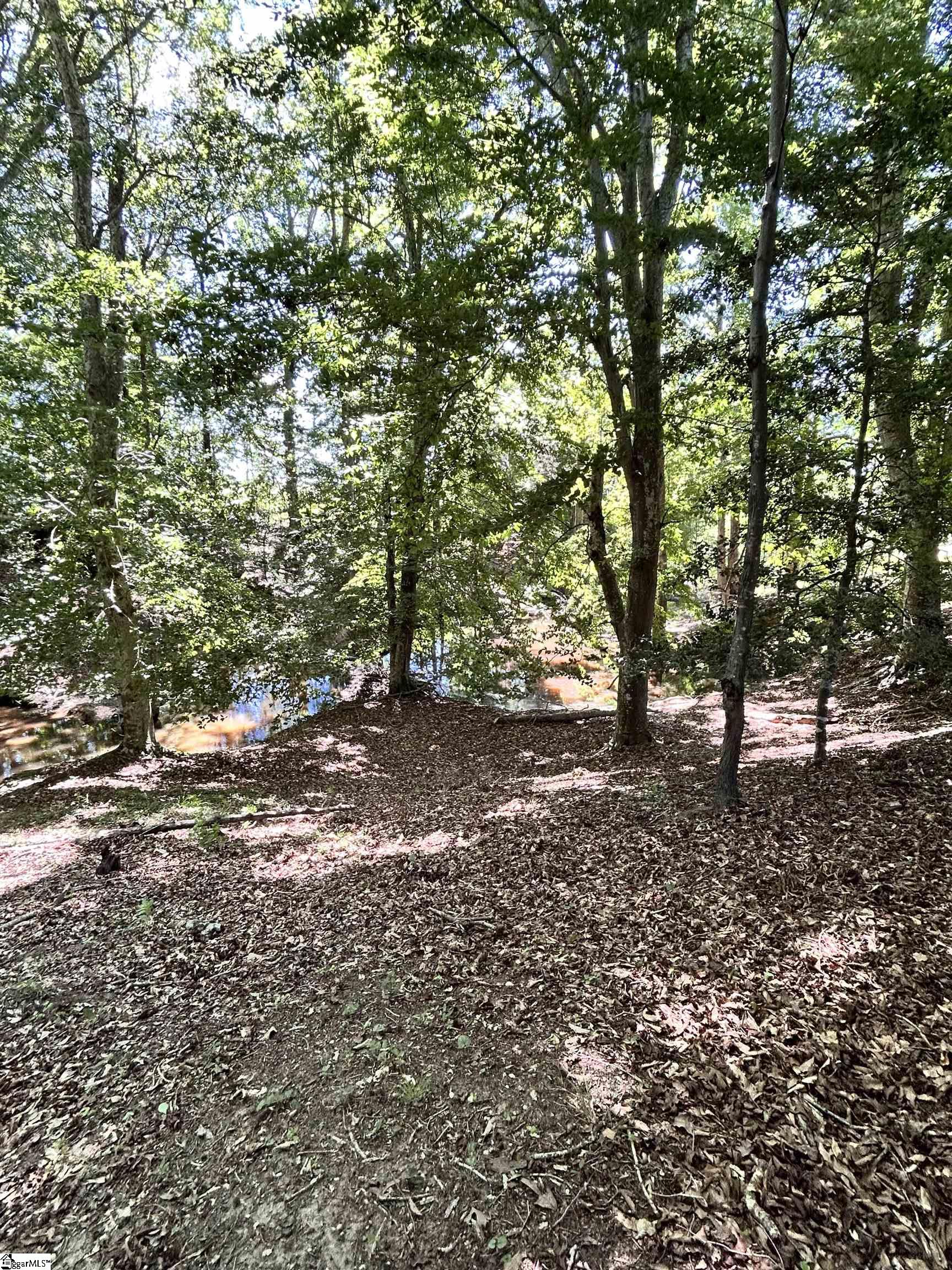 09 Sc - 413 Highway Property Photo 10