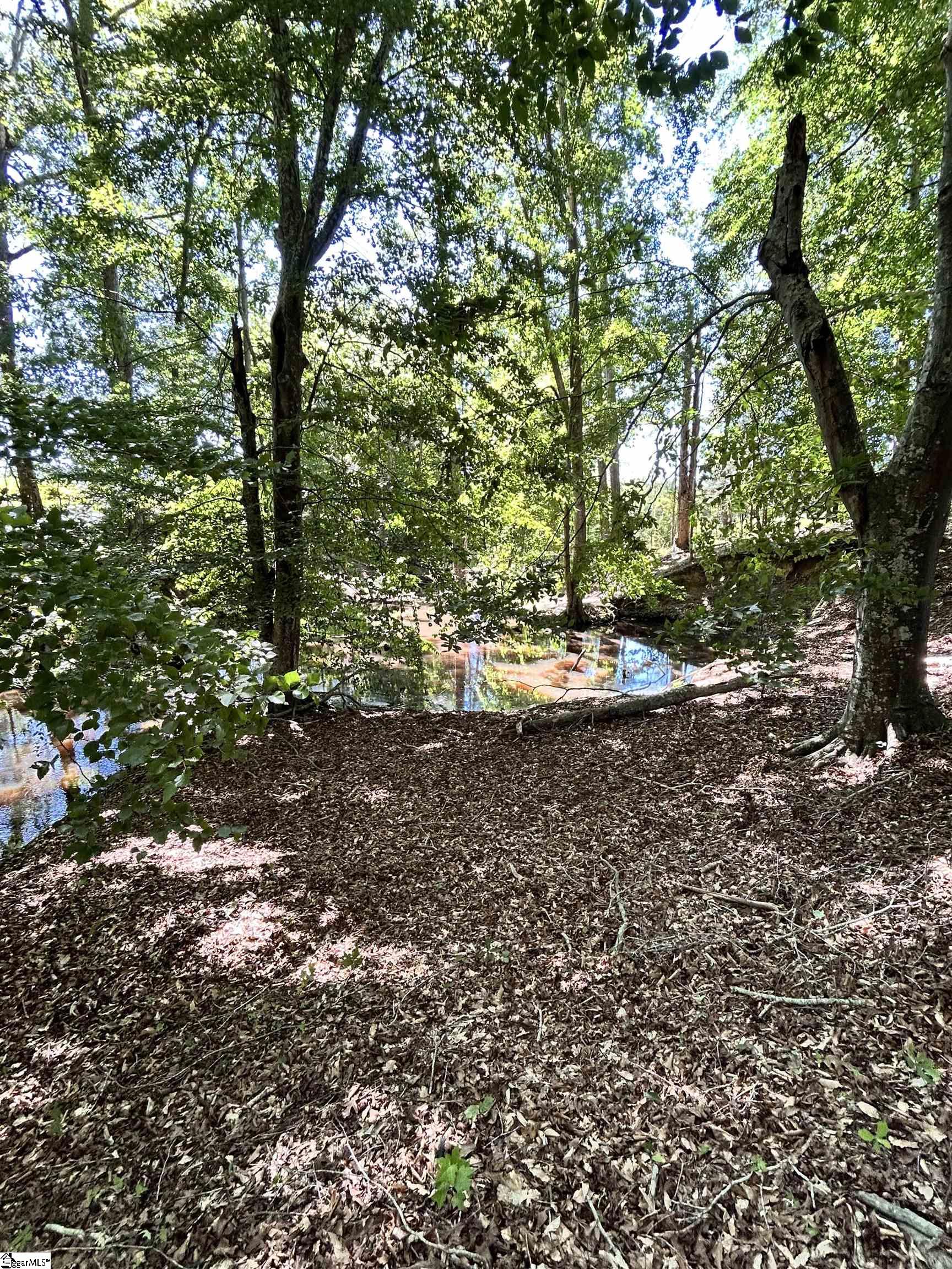 09 Sc - 413 Highway Property Photo 11