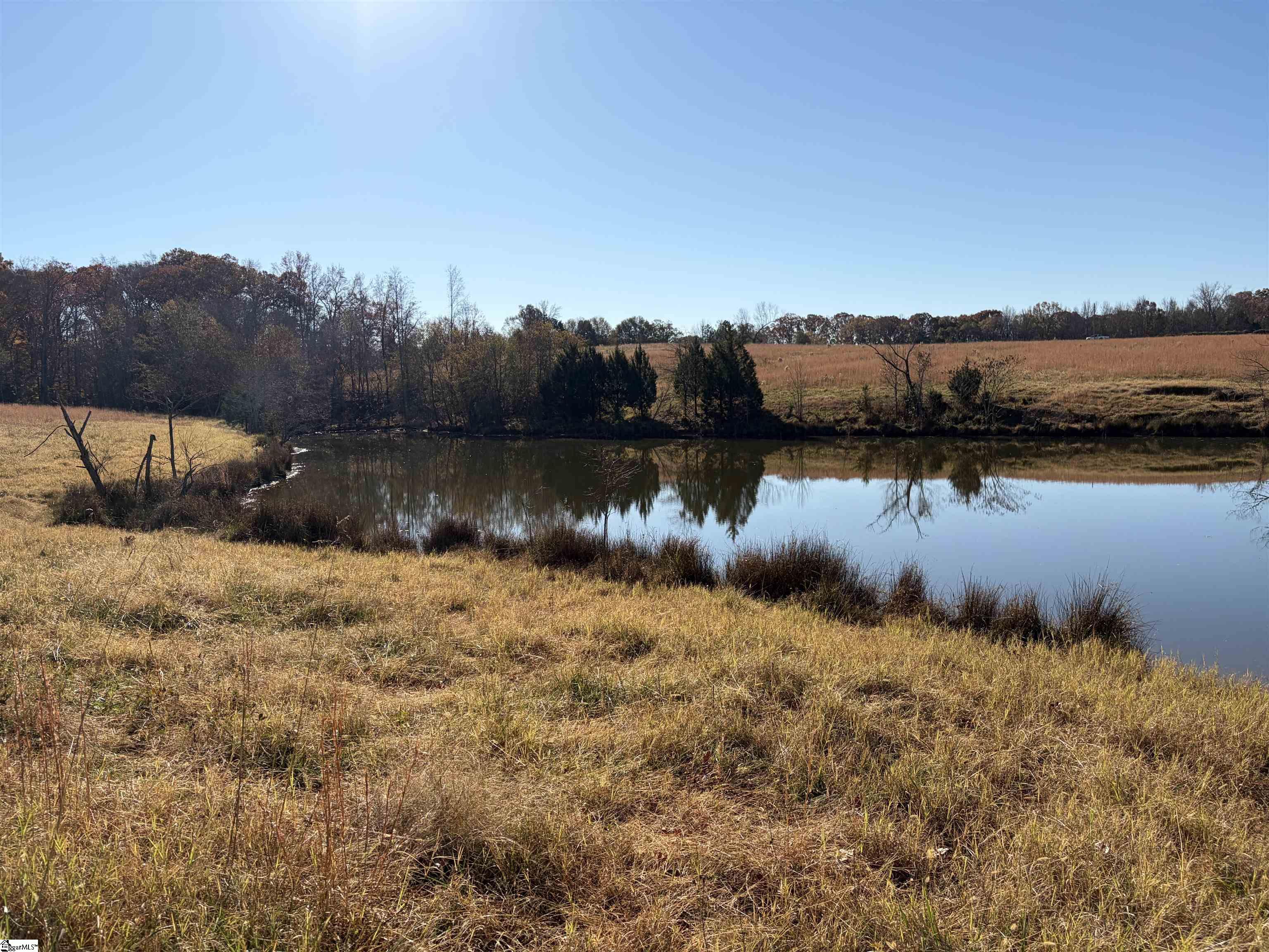 010 Sc - 413 Highway Property Photo 7