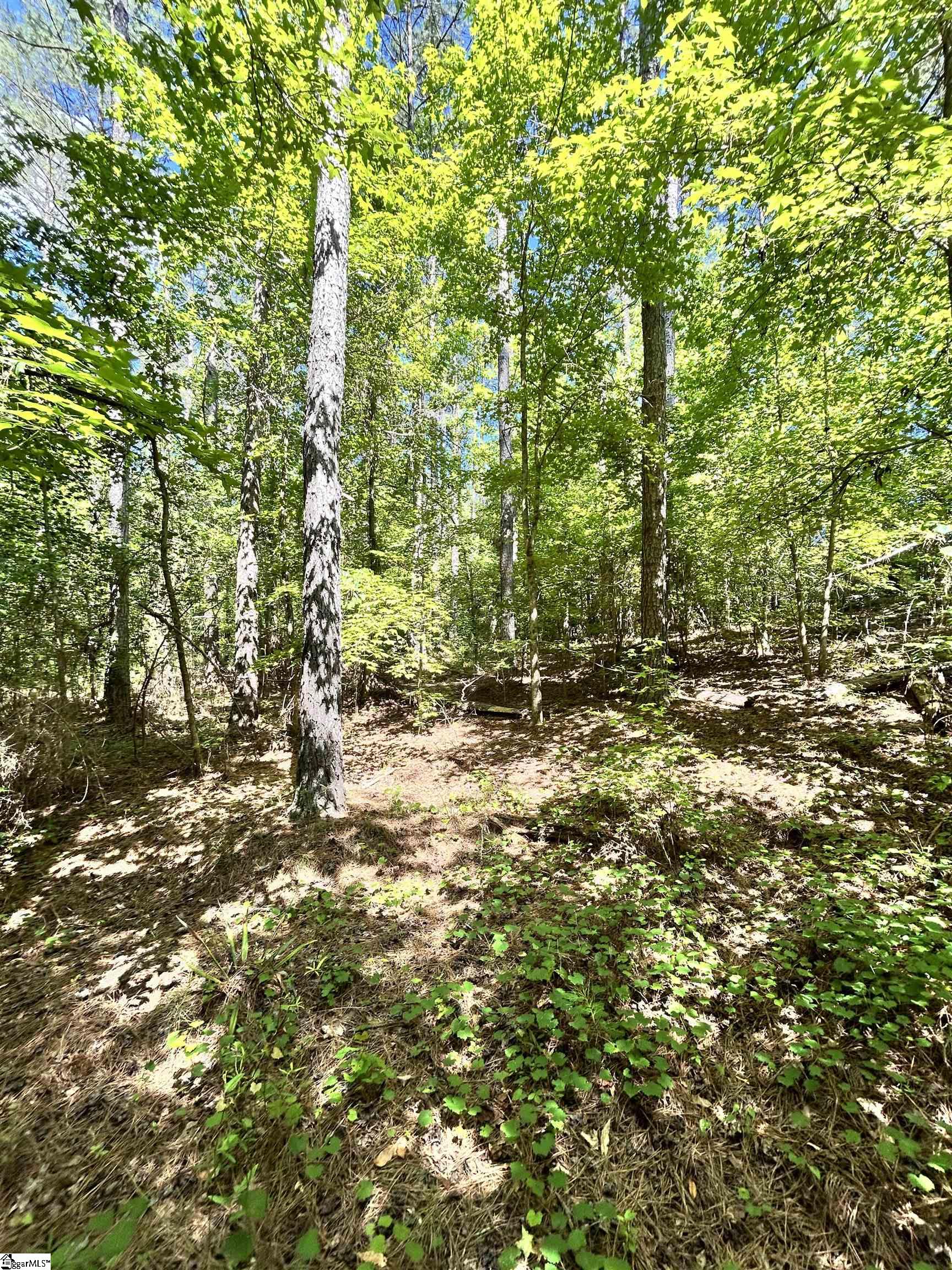 011 Sc - 413 Highway Property Photo 7