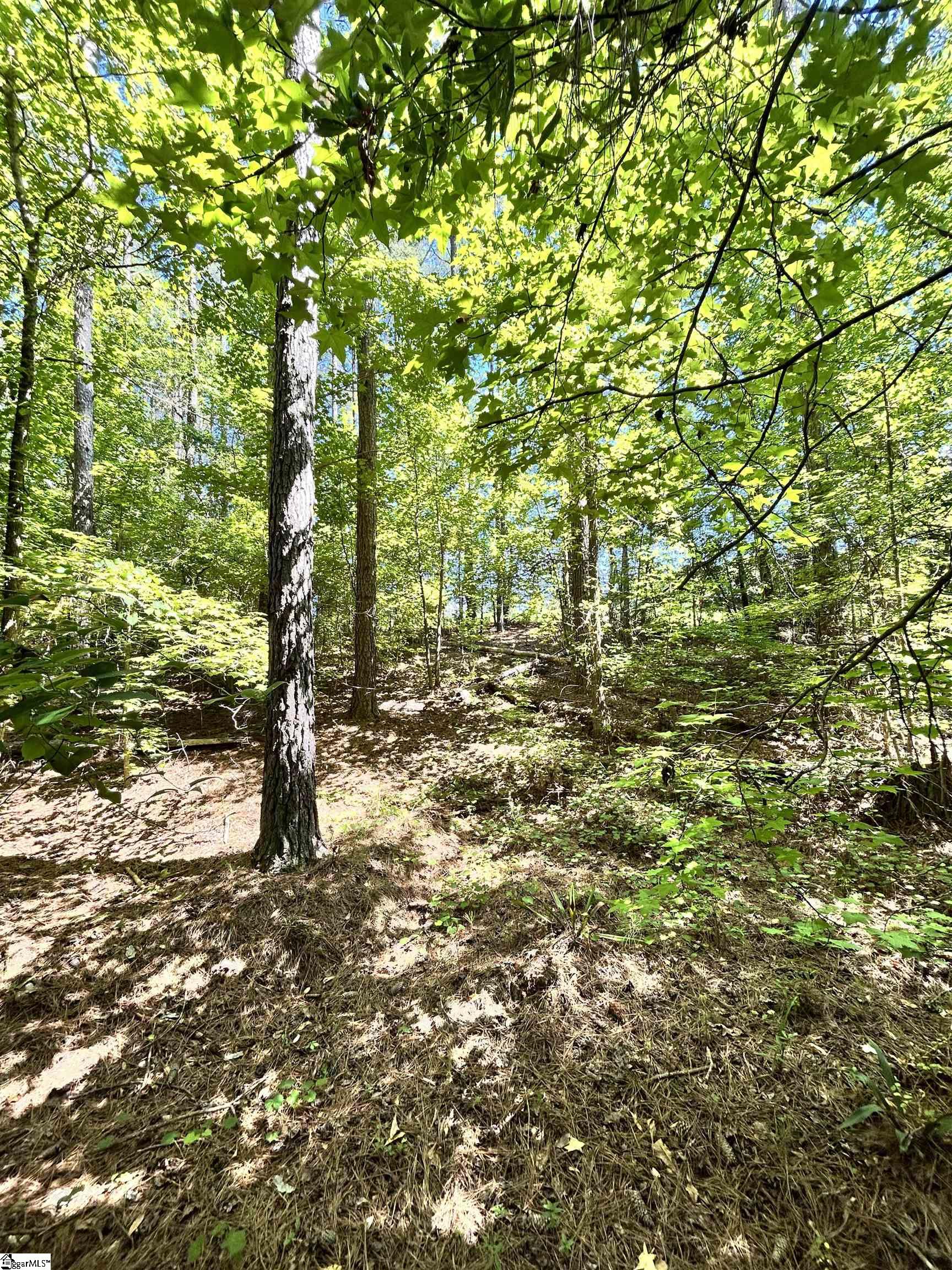 011 Sc - 413 Highway Property Photo 8