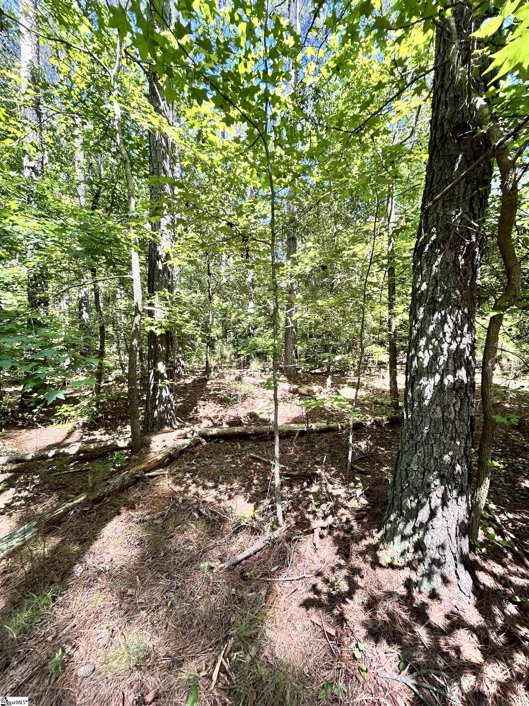 011 Sc - 413 Highway Property Photo 9