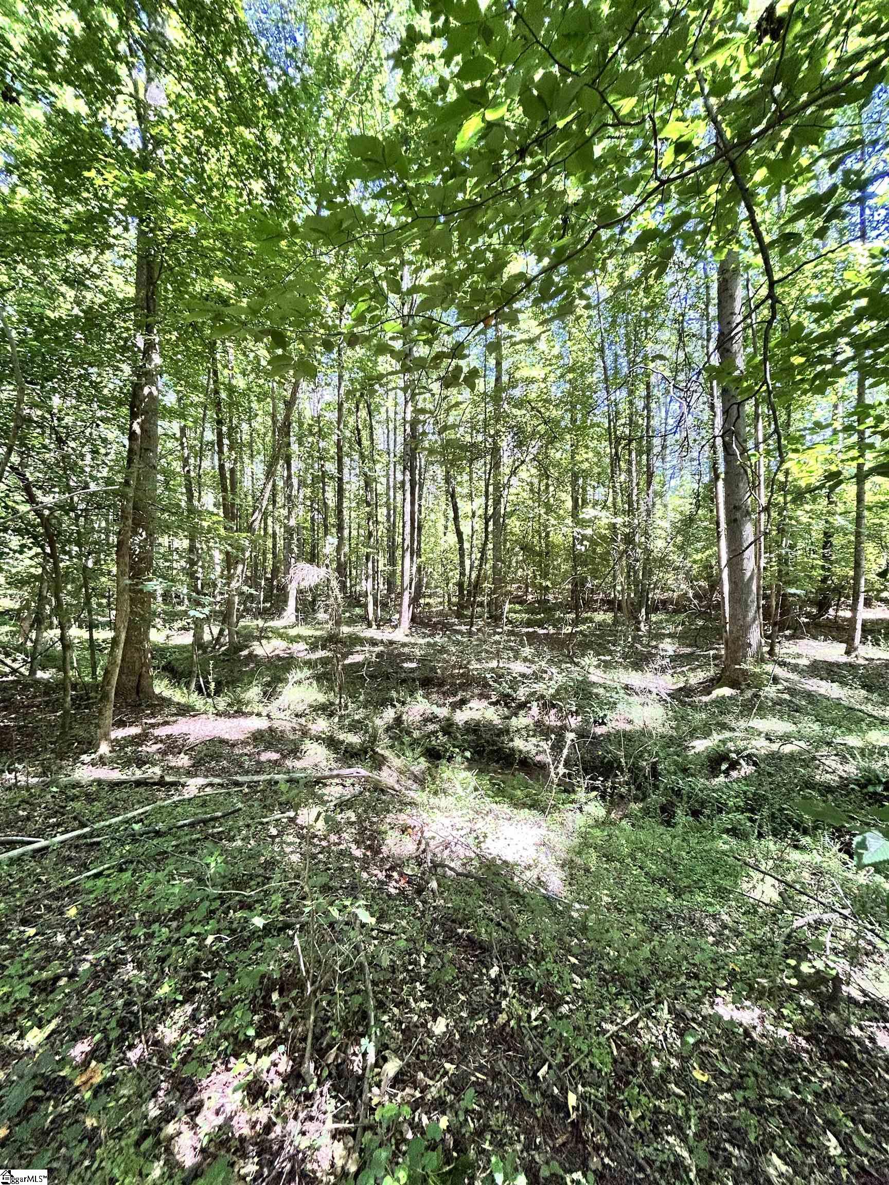 012 Sc - 413 Highway Property Photo 6