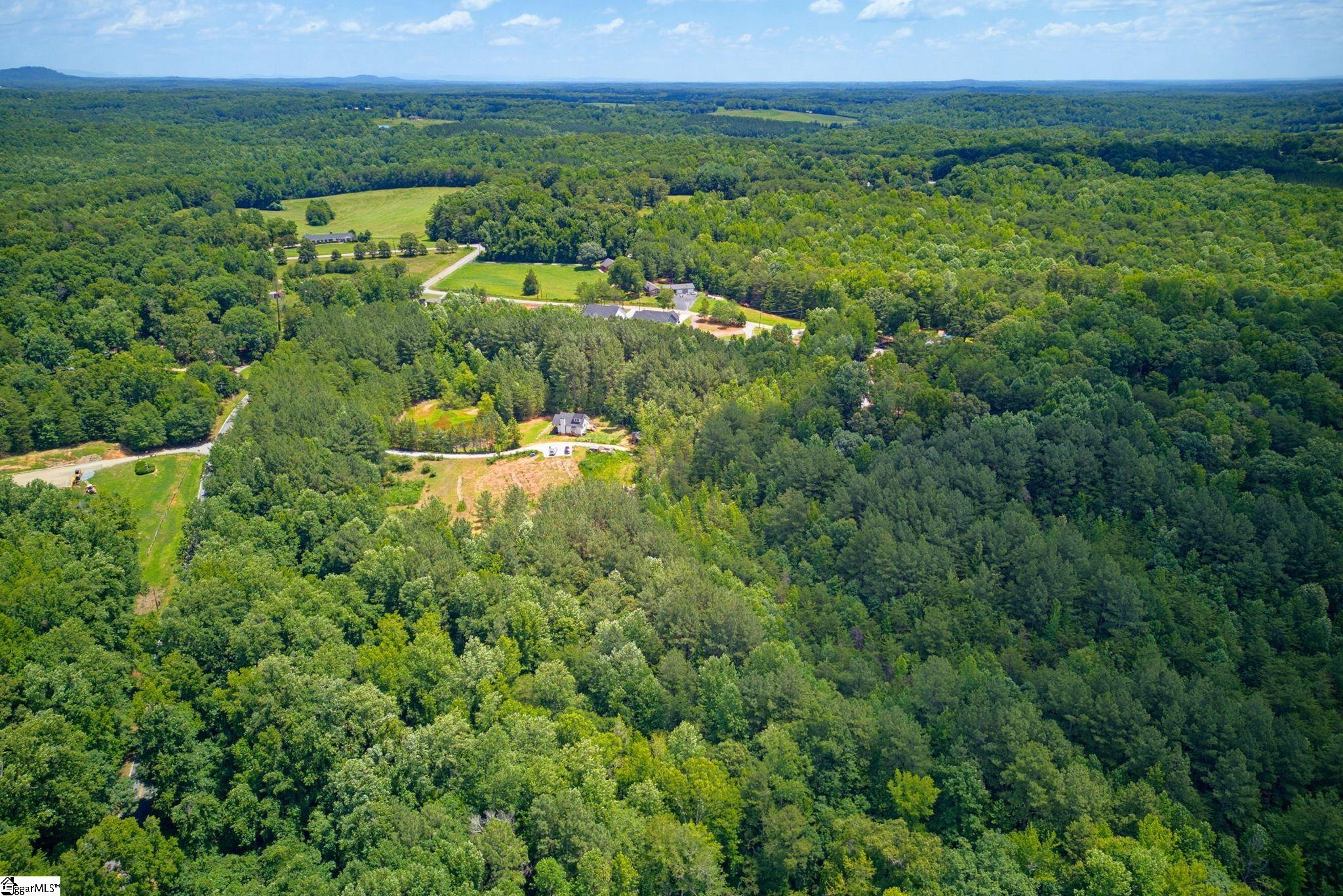 1217 Pleasant Hill Road Property Photo 3