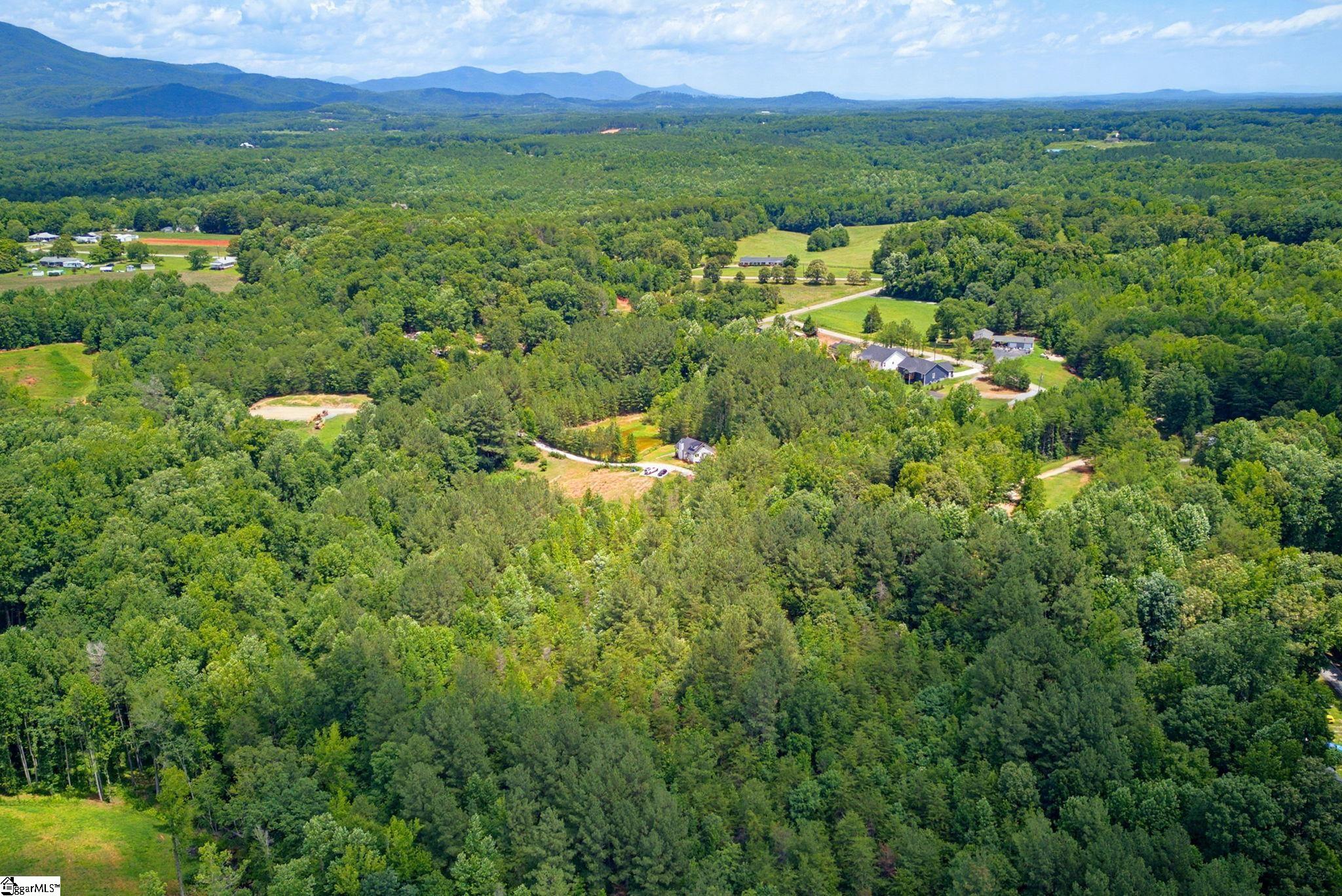 1217 Pleasant Hill Road Property Photo 49