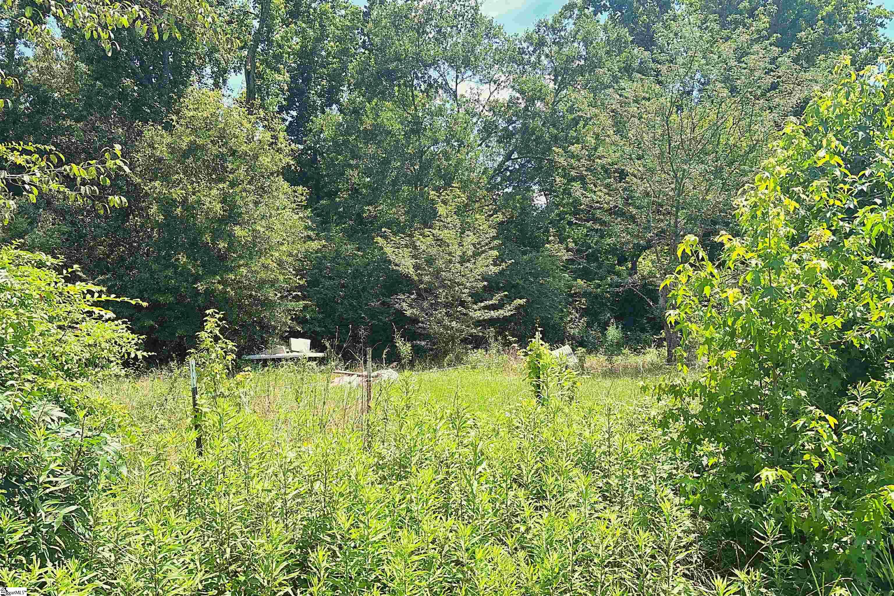 144 Mountain Creek Road Property Photo 3