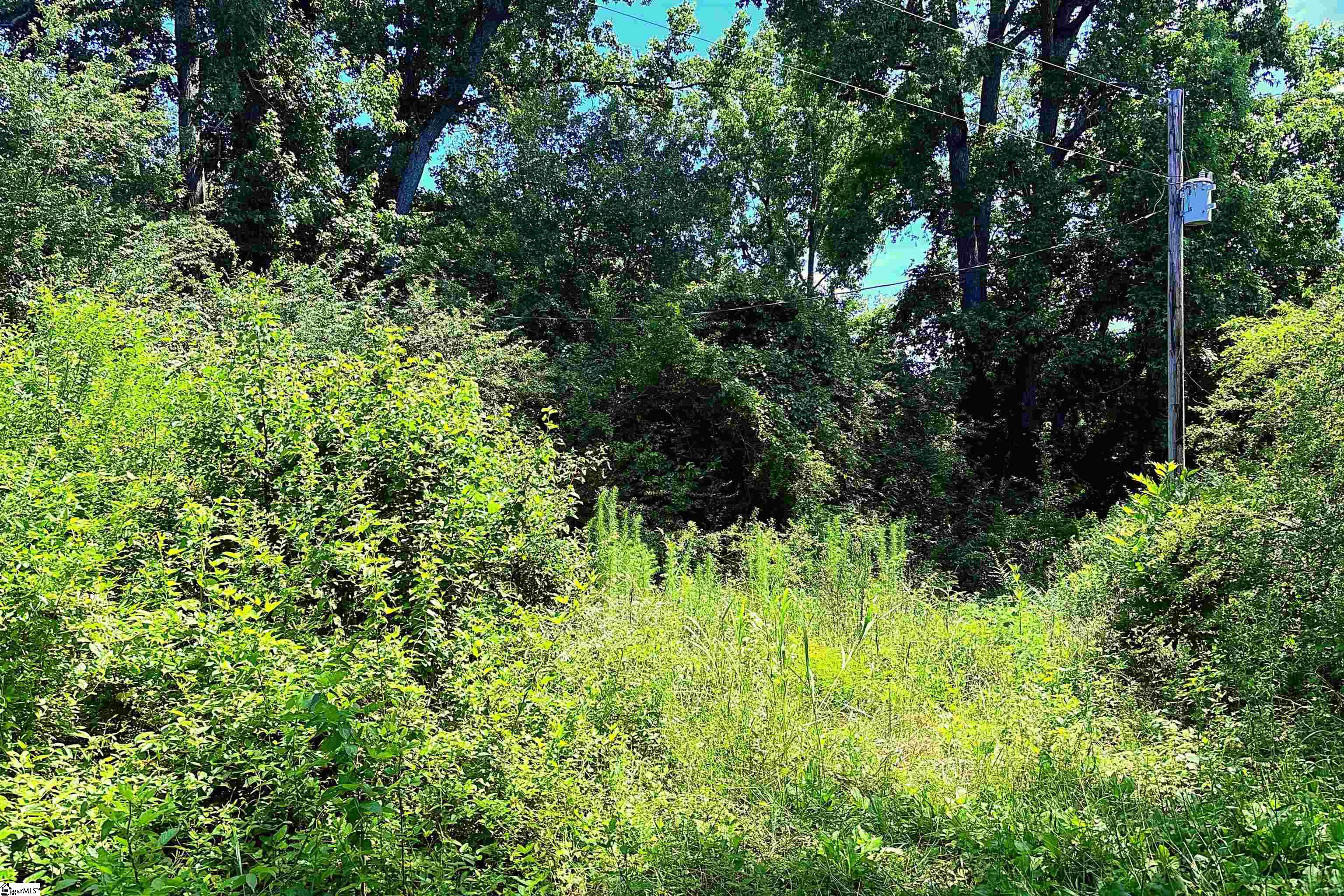 144 Mountain Creek Road Property Photo 4