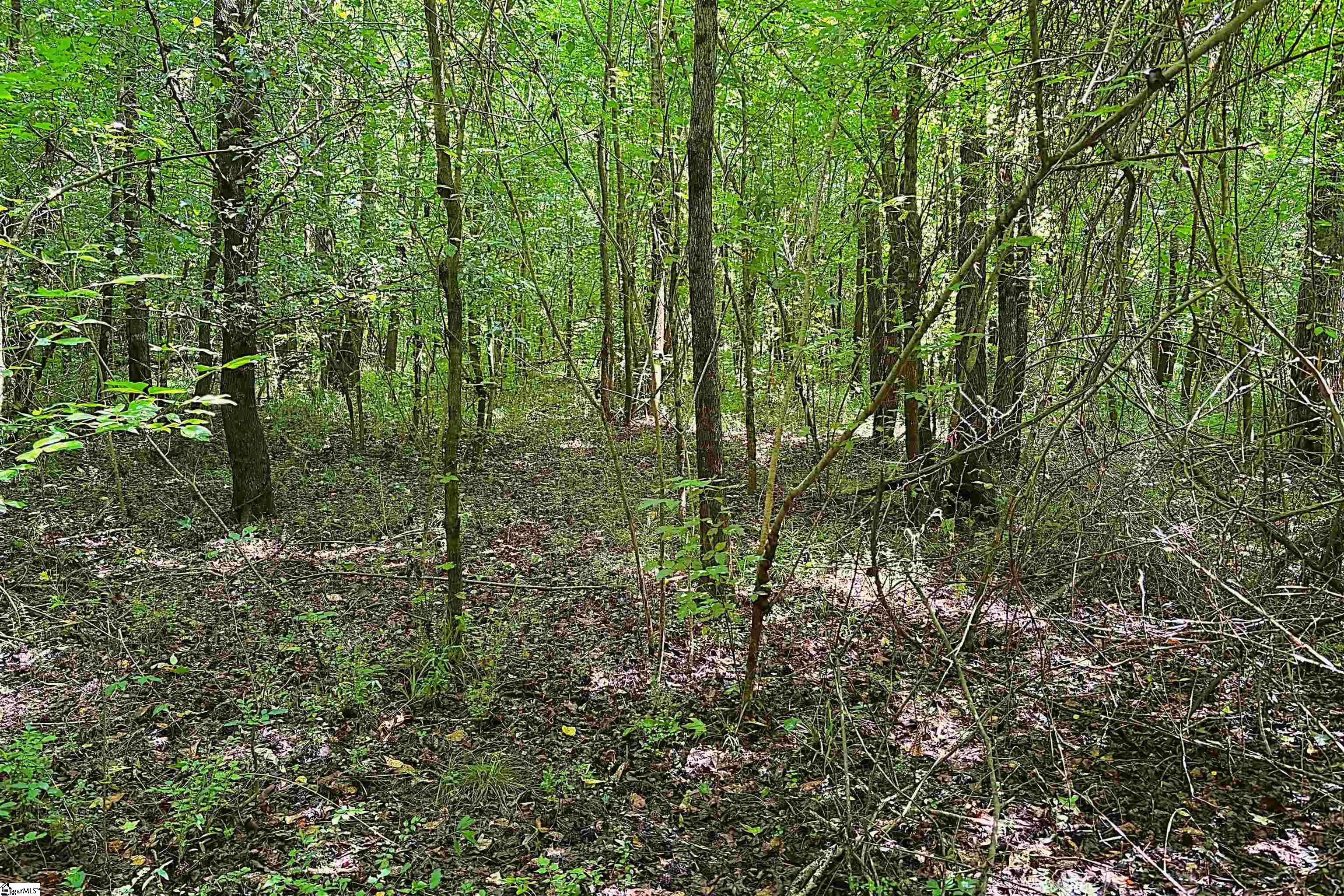 144 Mountain Creek Road Property Photo 8