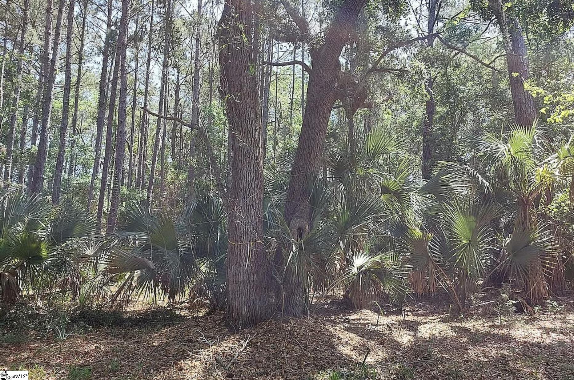 12 Sweetgrass Lane Property Photo 12
