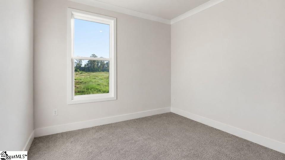 305 Plowshare Court Property Photo 21