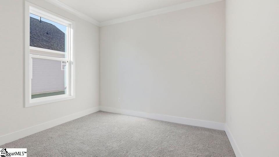 305 Plowshare Court Property Photo 24