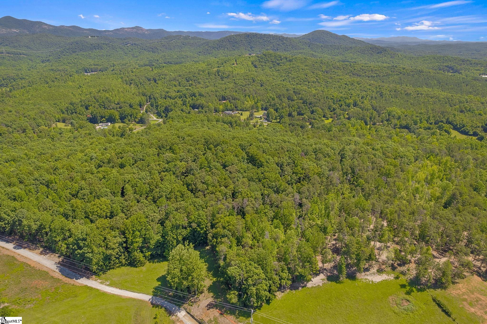 3306 Moorefield Memorial Highway Property Photo 36