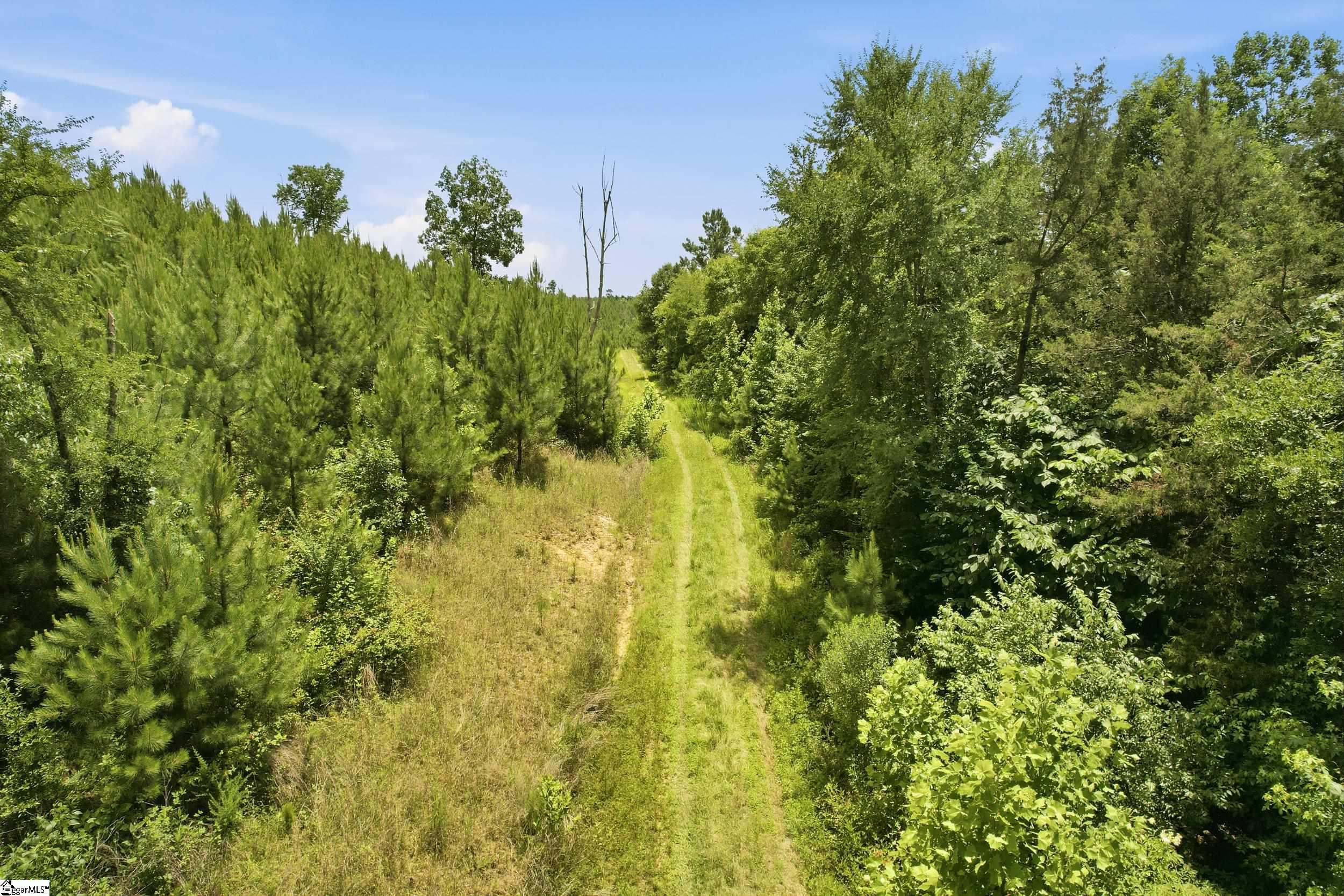 839 Duncan Creek Church Road Property Photo 2