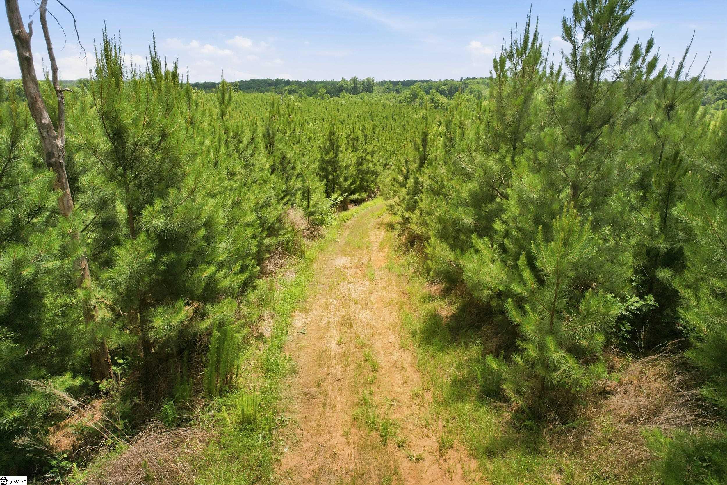 839 Duncan Creek Church Road Property Photo 3
