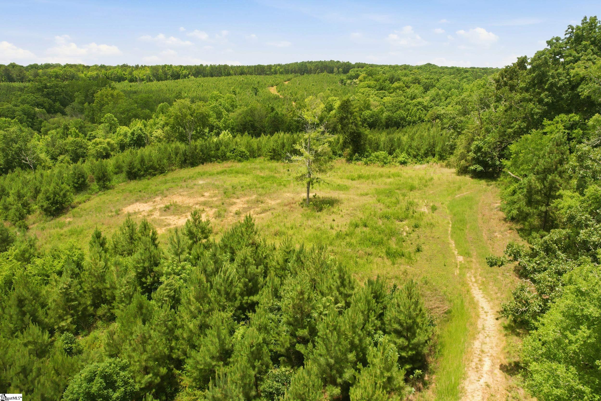 839 Duncan Creek Church Road Property Photo 7