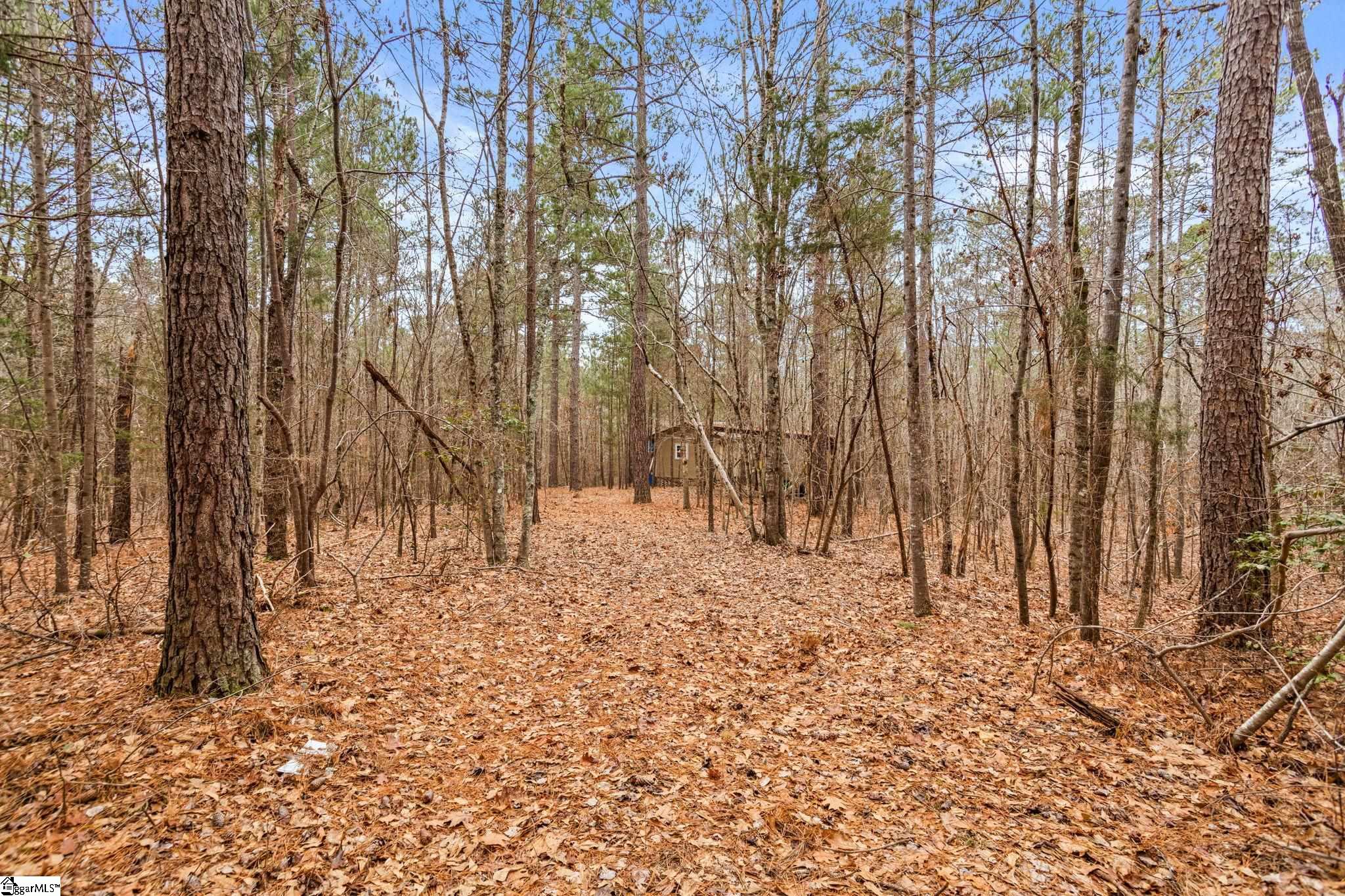 839 Duncan Creek Church Road Property Photo 39