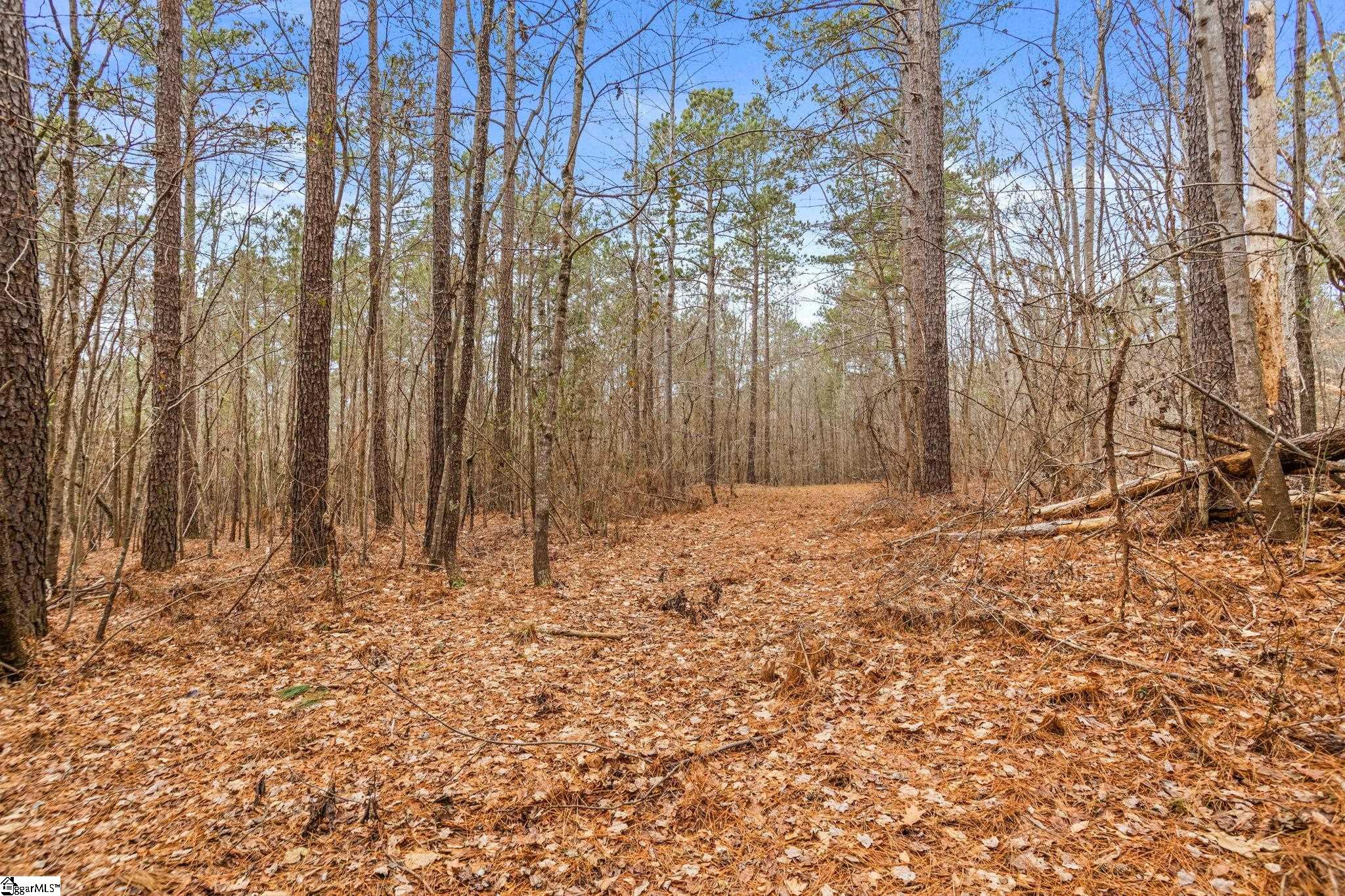 839 Duncan Creek Church Road Property Photo 40