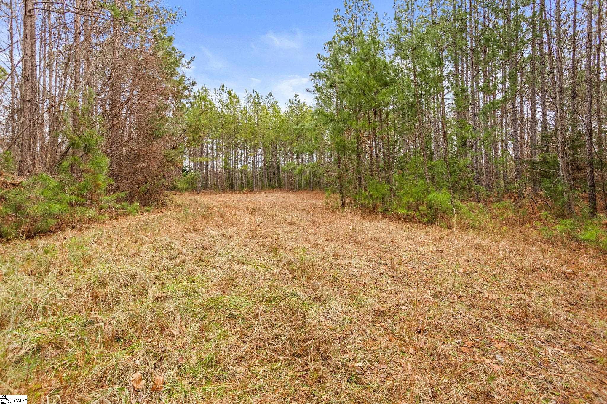 839 Duncan Creek Church Road Property Photo 41