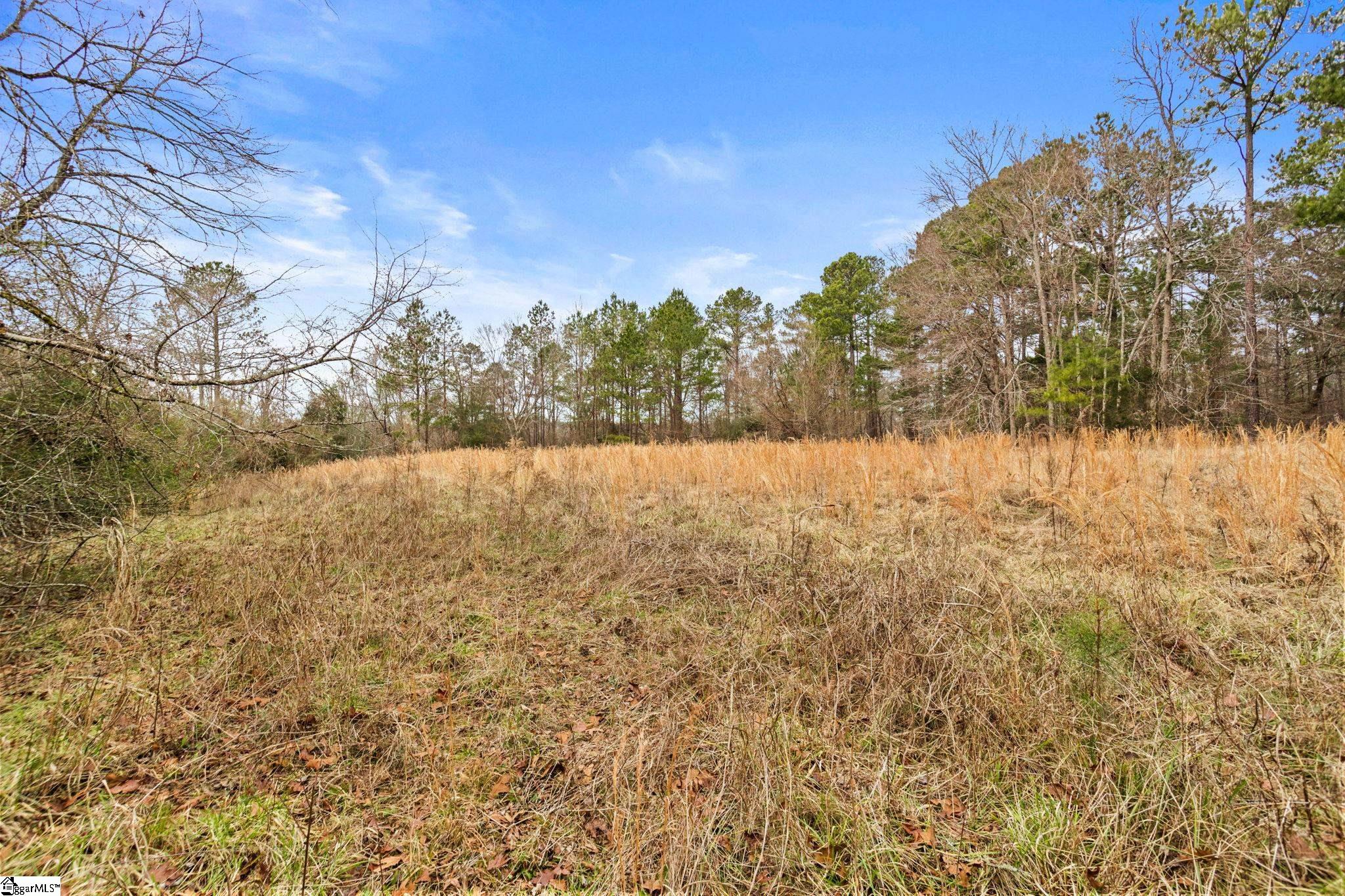 839 Duncan Creek Church Road Property Photo 43