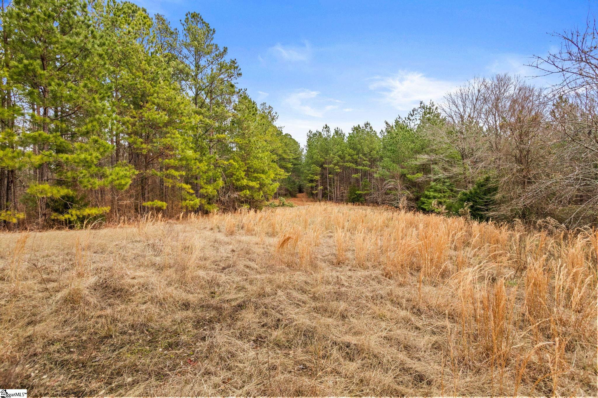 839 Duncan Creek Church Road Property Photo 44