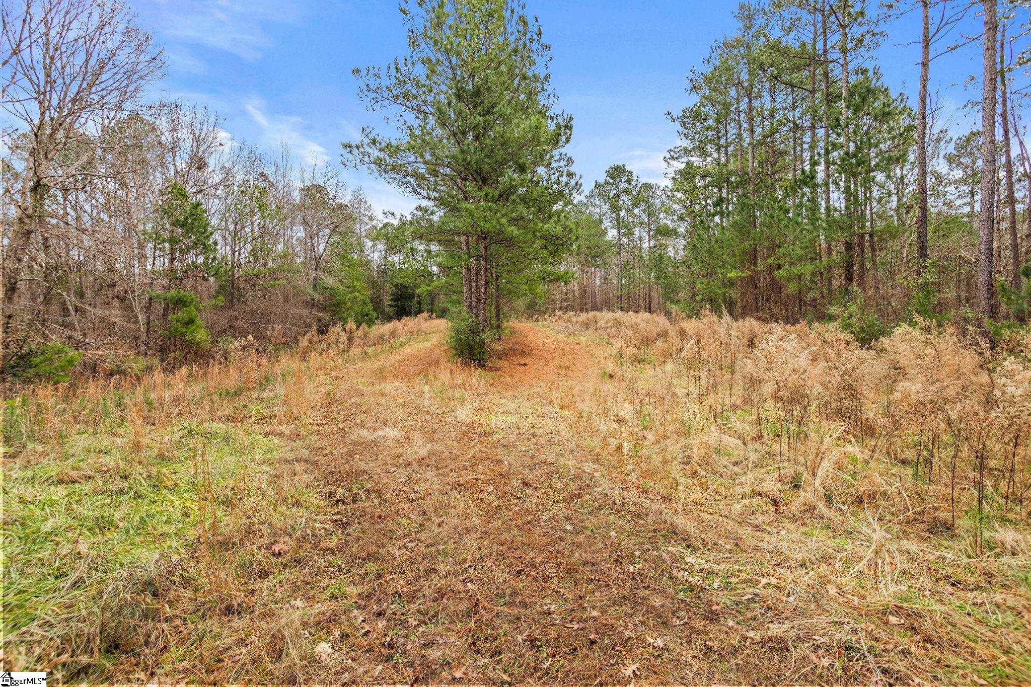 839 Duncan Creek Church Road Property Photo 45