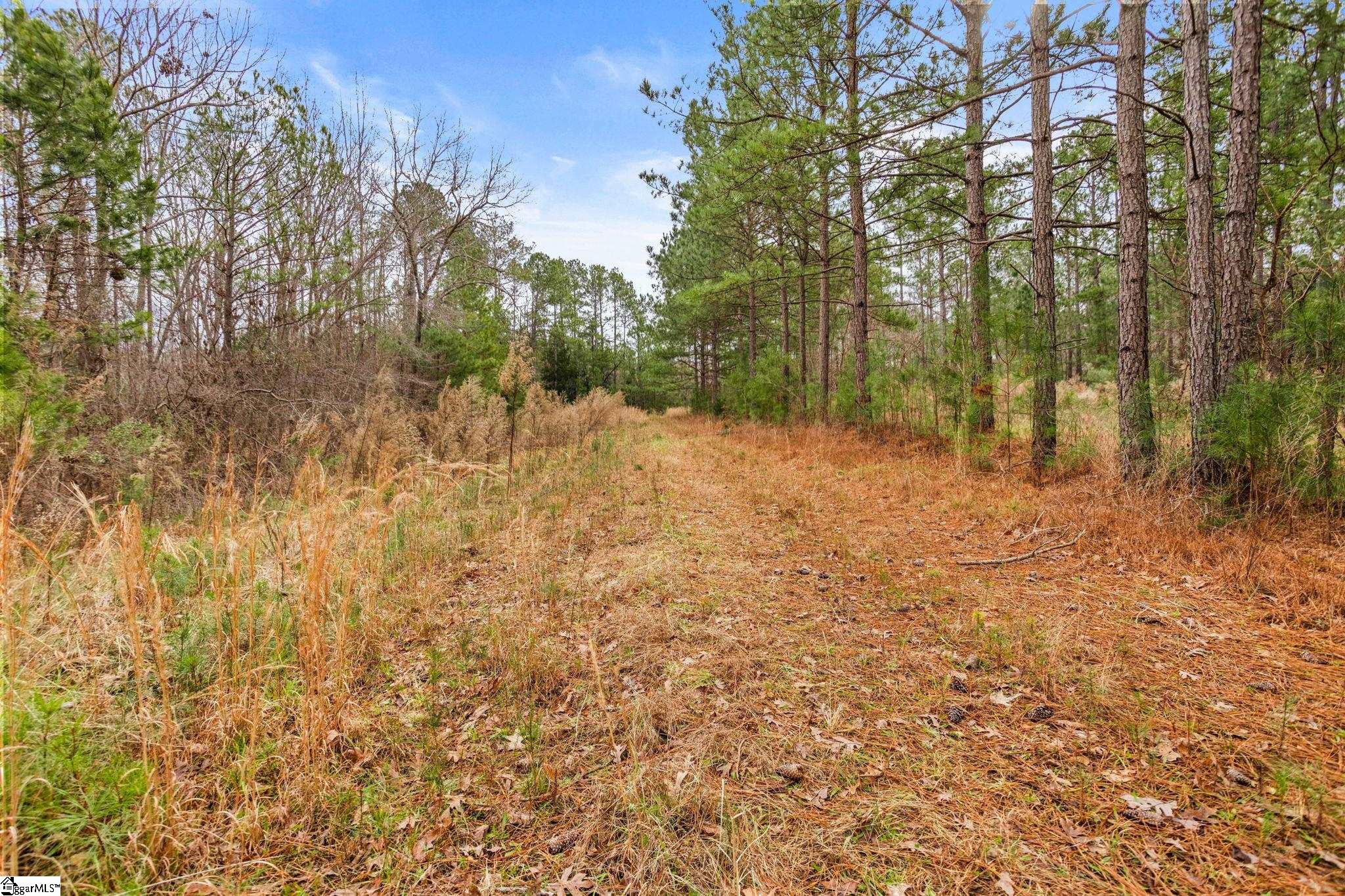 839 Duncan Creek Church Road Property Photo 48