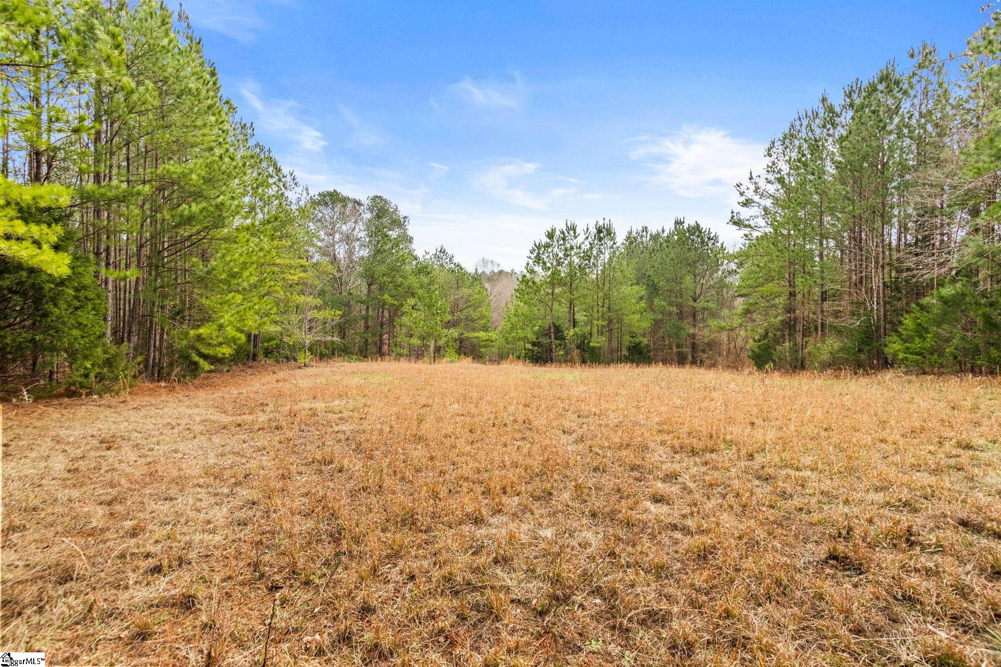 839 Duncan Creek Church Road Property Photo 50