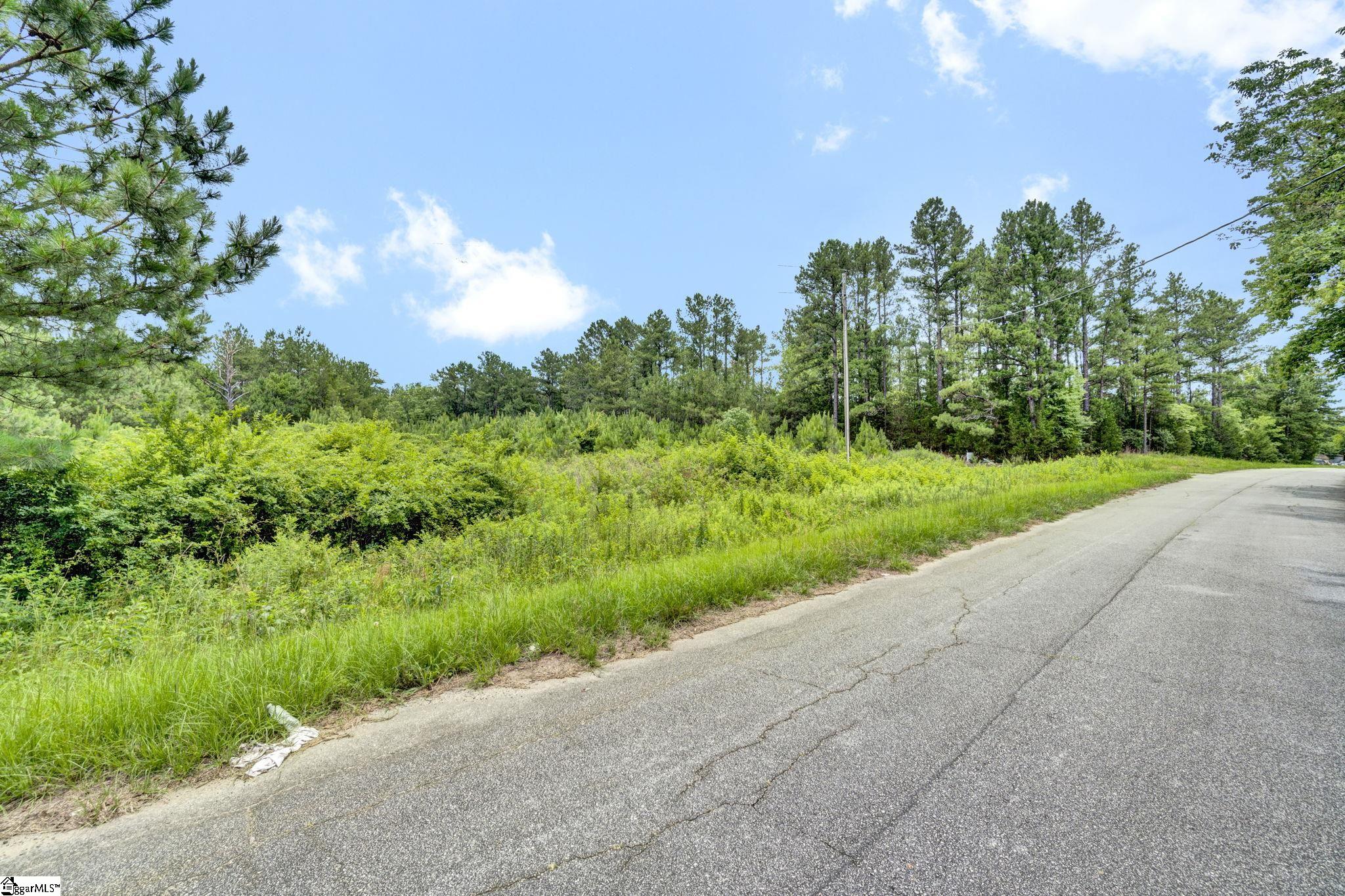 00 Stomp Springs Circle Property Photo 6