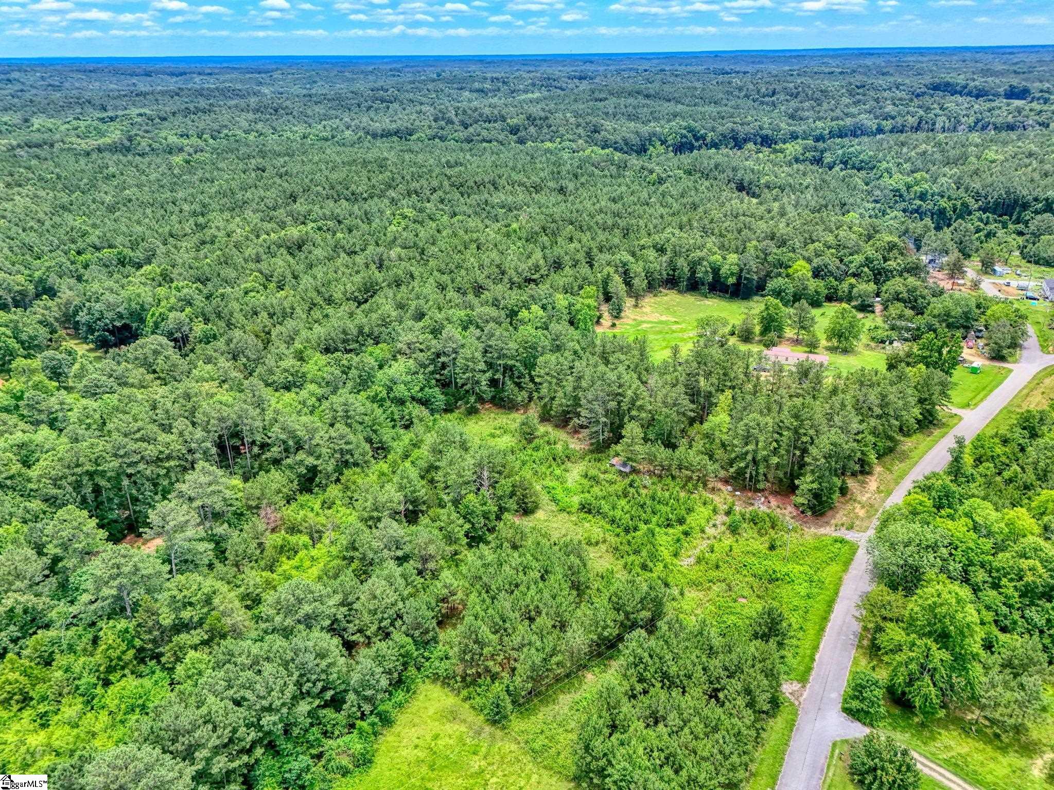 00 Stomp Springs Circle Property Photo 10