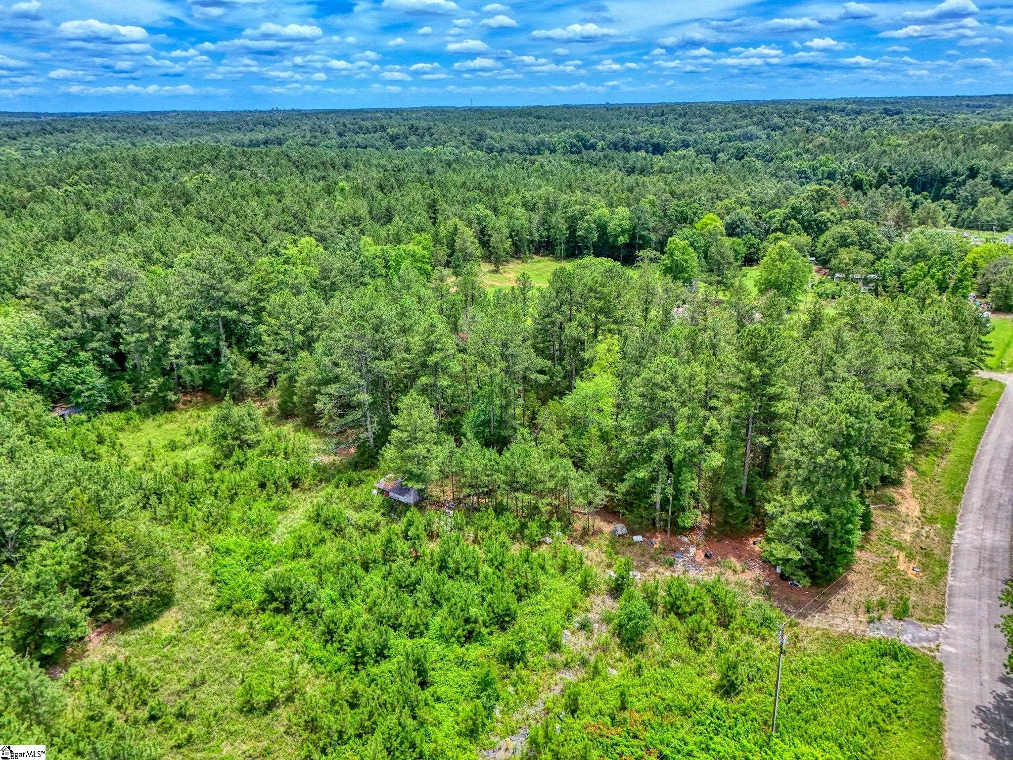 00 Stomp Springs Circle Property Photo 12