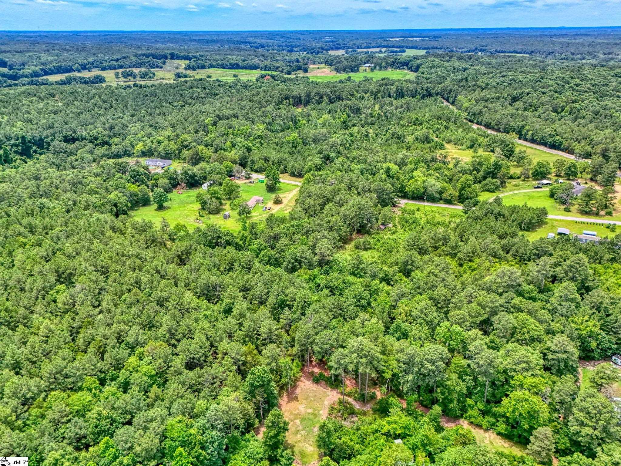 00 Stomp Springs Circle Property Photo 14