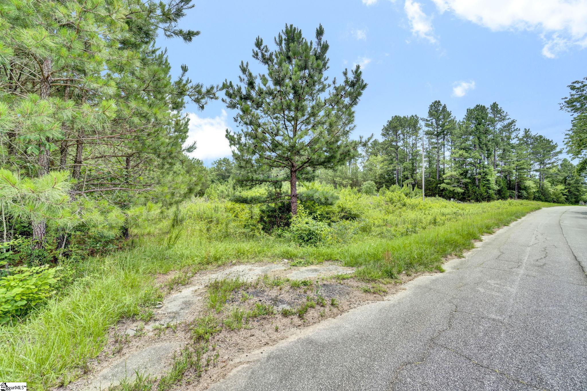 00 Stomp Springs Circle Property Photo 18