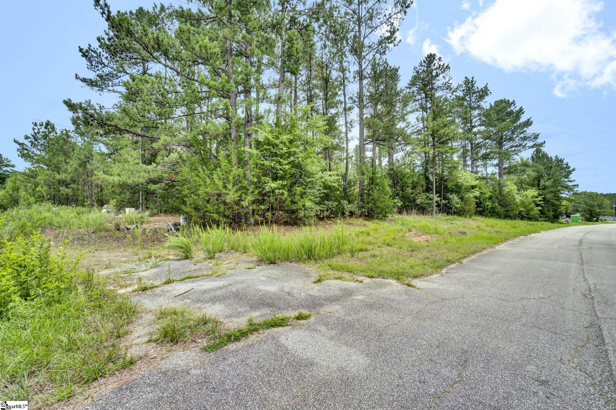 00 Stomp Springs Circle Property Photo 19