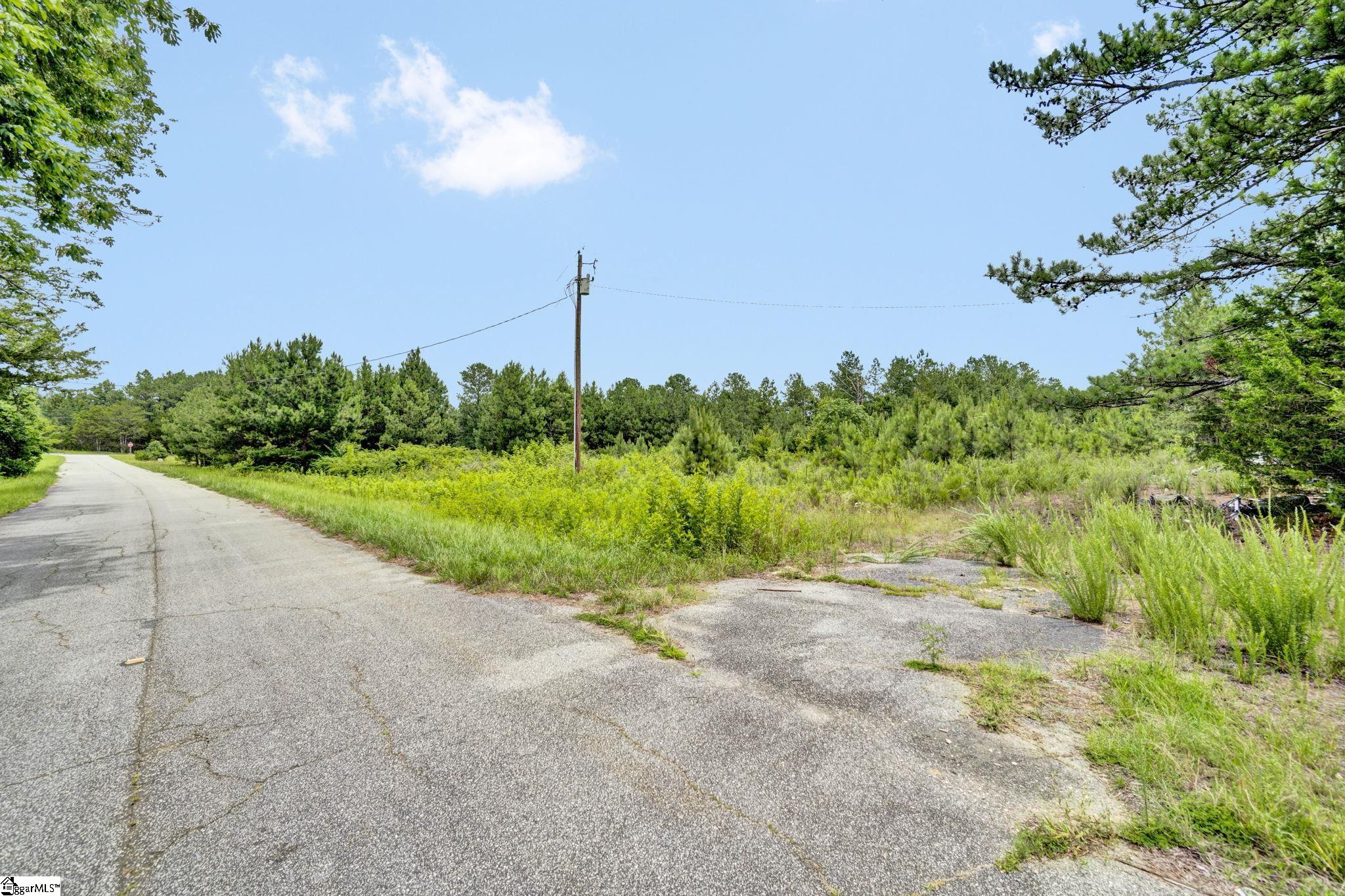 00 Stomp Springs Circle Property Photo 20
