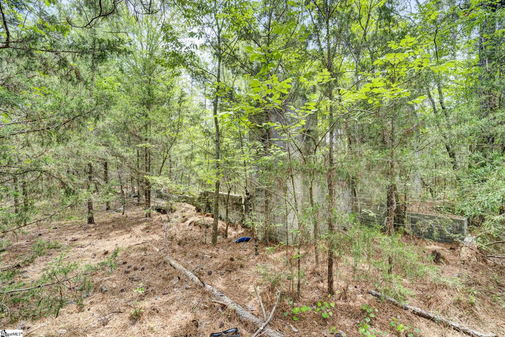 00 Stomp Springs Circle Property Photo 21