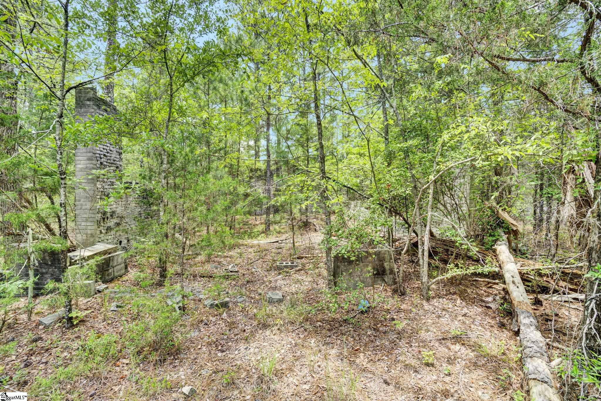00 Stomp Springs Circle Property Photo 23
