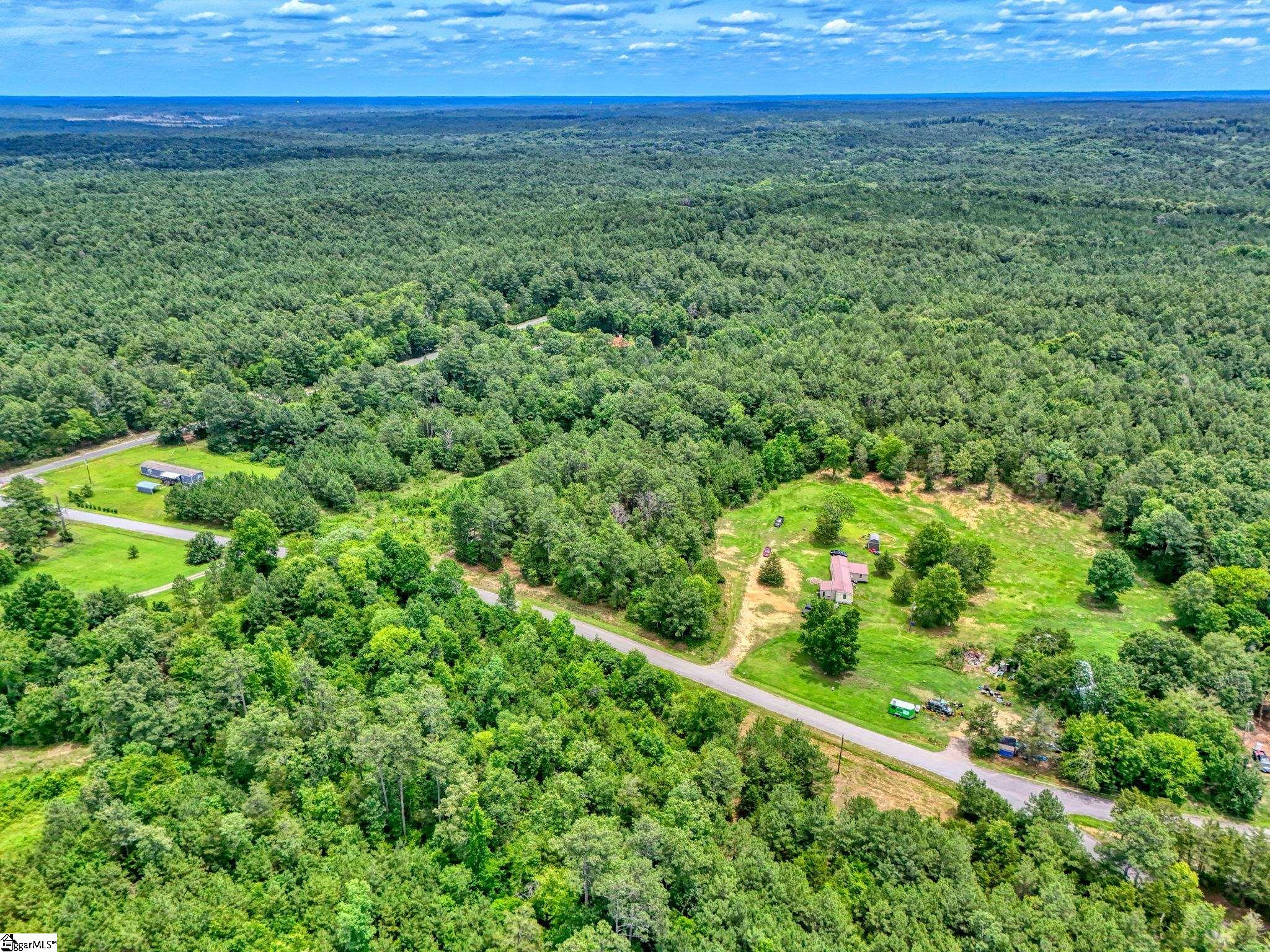 00 Stomp Springs Circle Property Photo 6