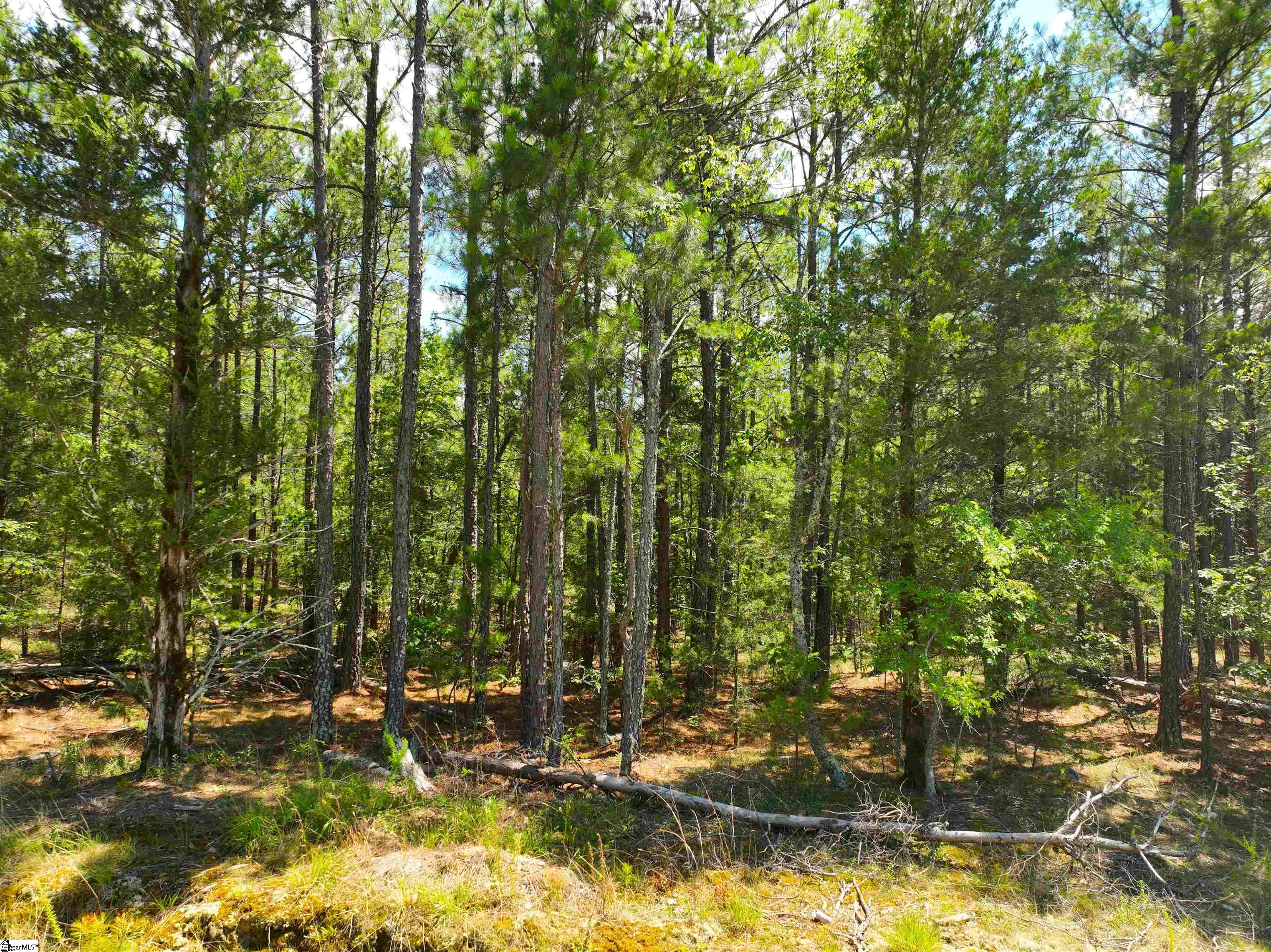 401 Coleman Road Property Photo 12