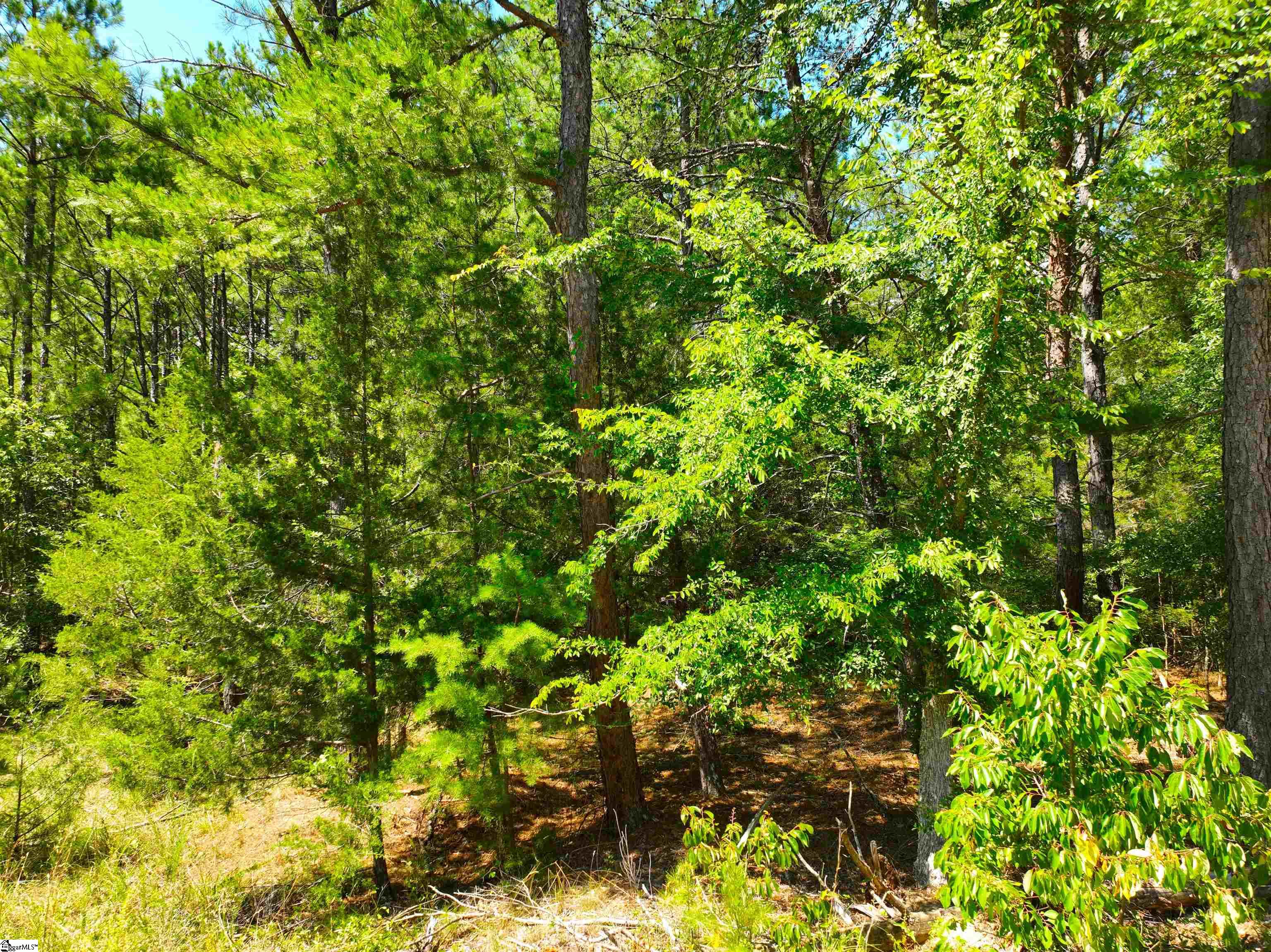 401 Coleman Road Property Photo 14