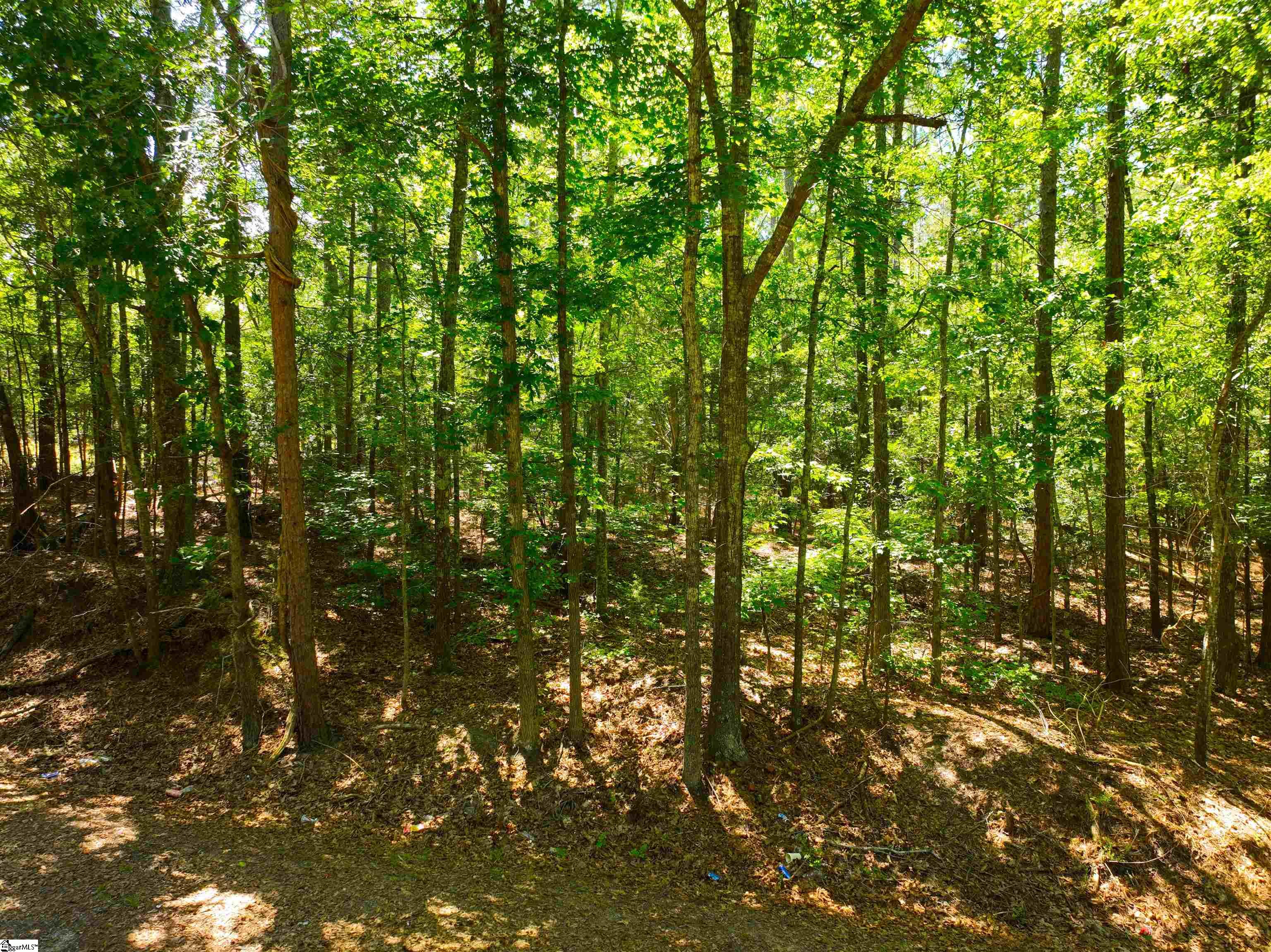 401 Coleman Road Property Photo 19