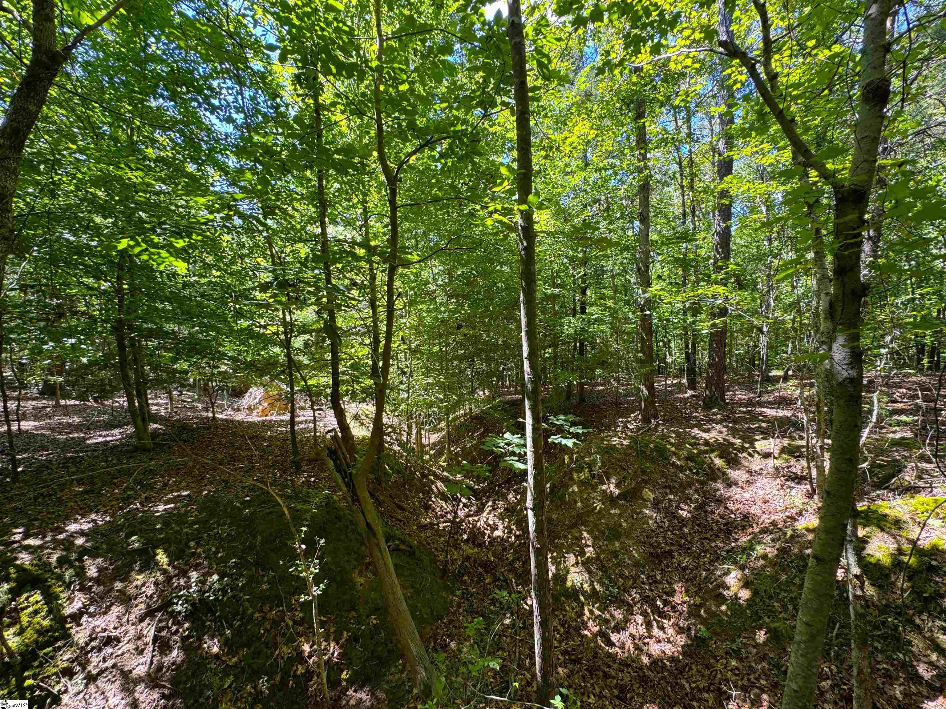 401 Coleman Road Property Photo 24