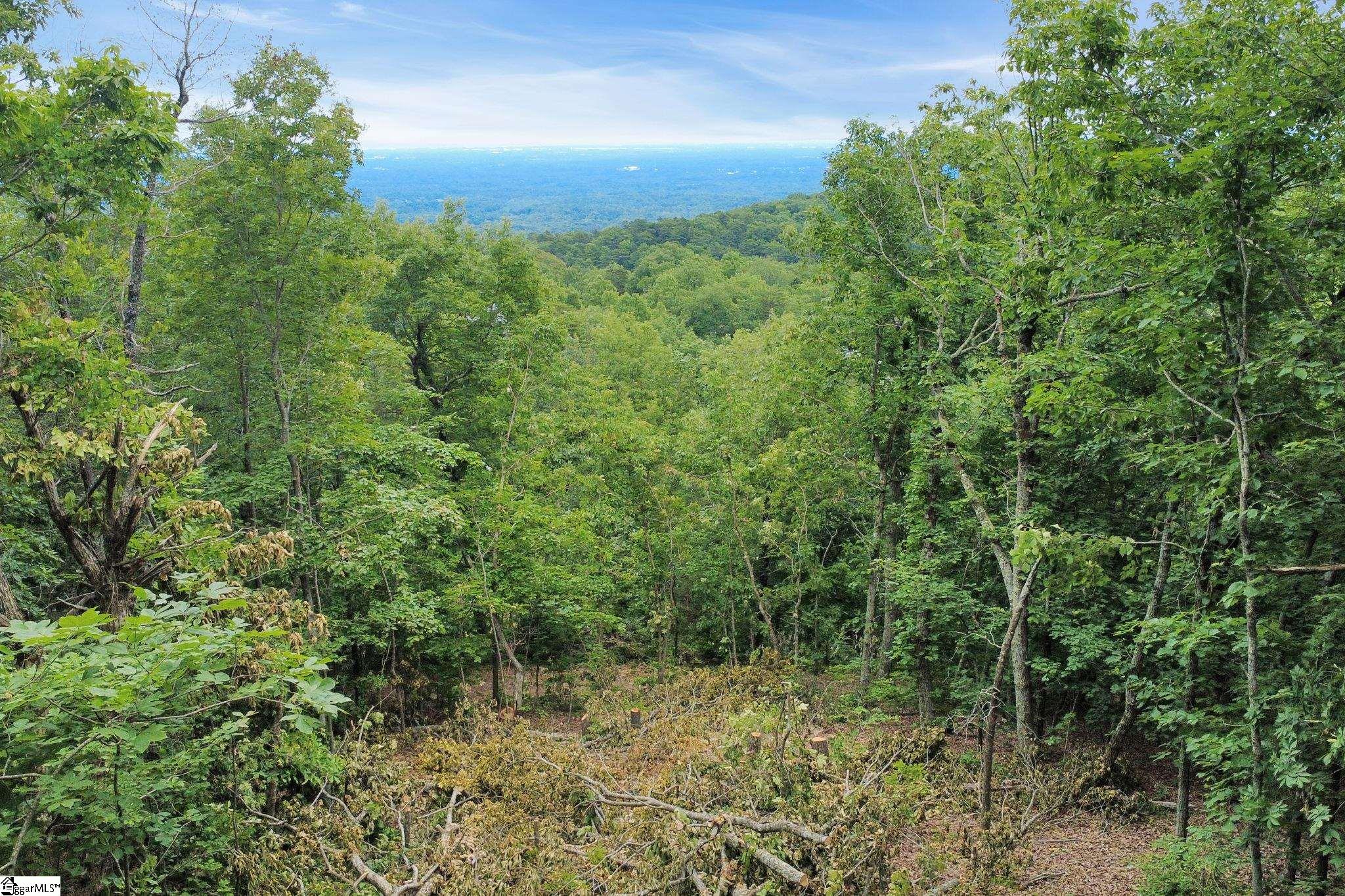 1325 Altamont Road Property Photo 2