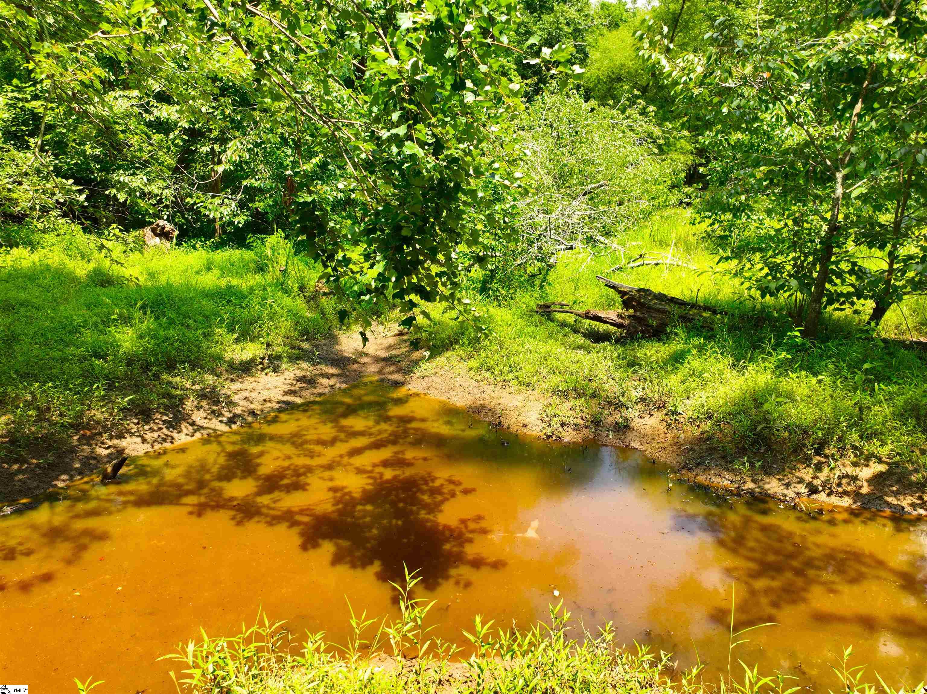 1198 Mize Road Property Photo 33