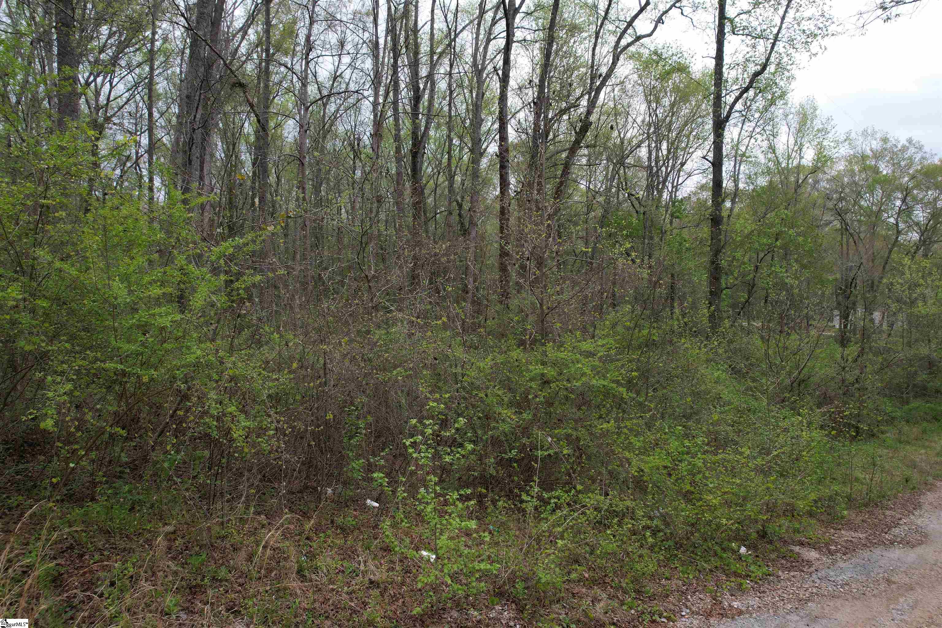 115 Dowell Road Property Photo 6