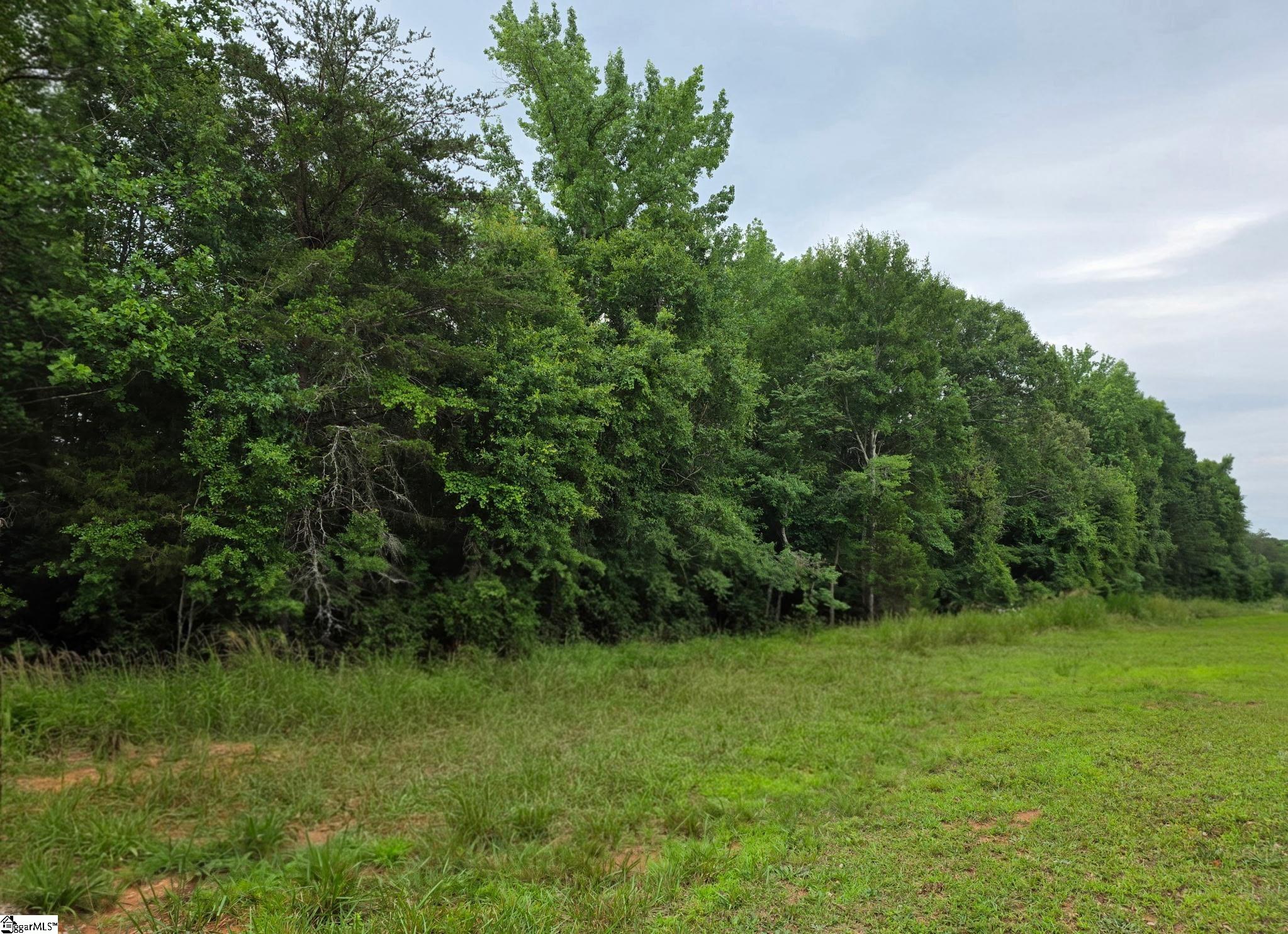 1596243 Property Photo 1