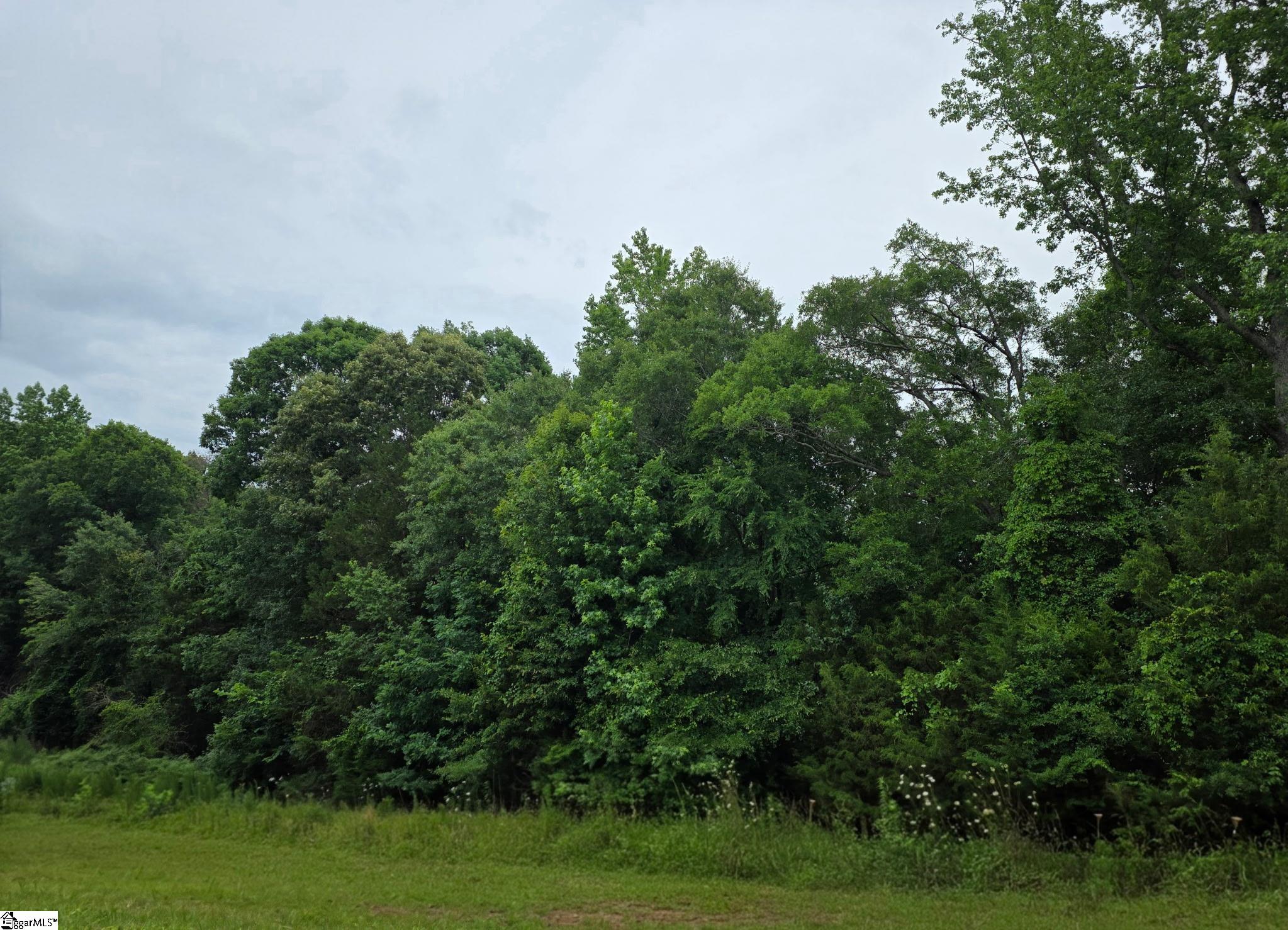 1596243 Property Photo 2