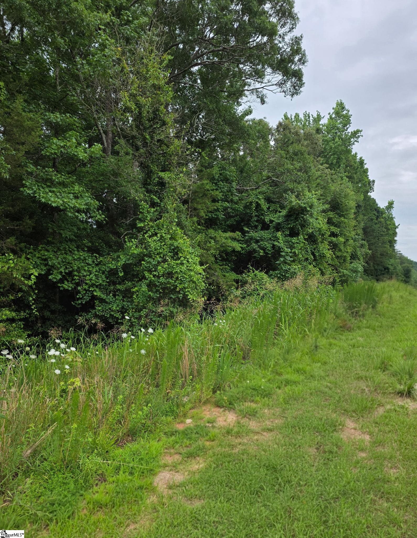 1596243 Property Photo 3