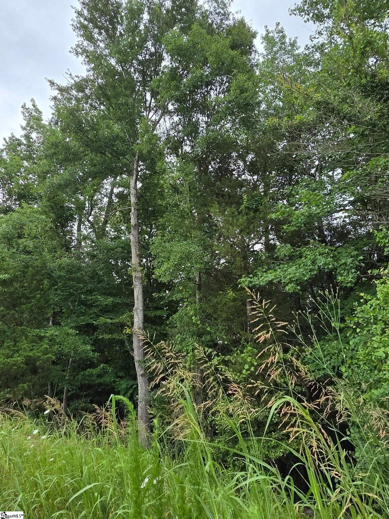 1596243 Property Photo 4