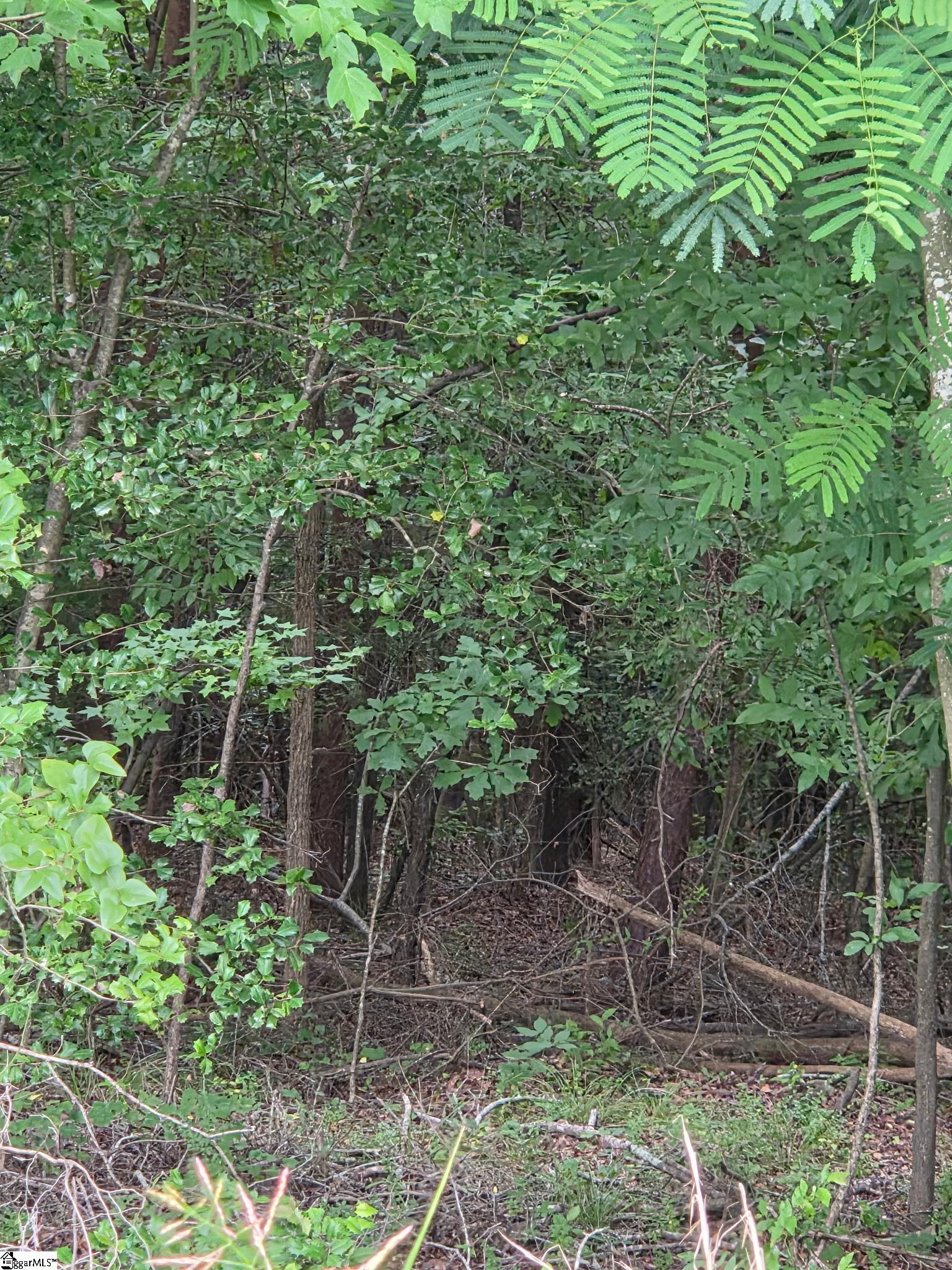1596243 Property Photo 6